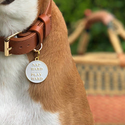 Two Tails Pet Company - Nap Hard Play Hard Pet ID Tag