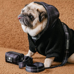 Frenchie - Frenchie Dog Hoodie - Black Plaid: L