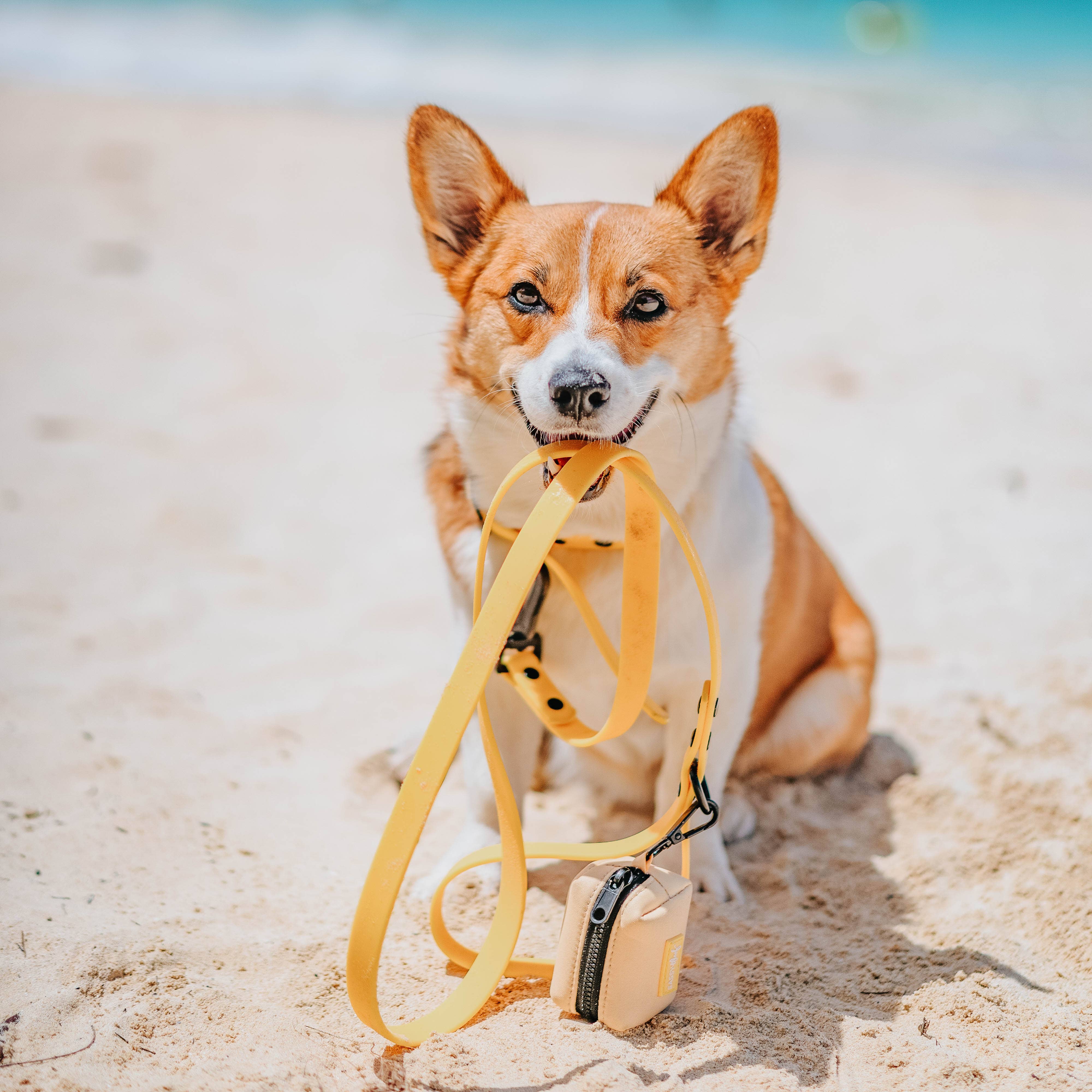 SASSY WOOF - Waterproof Dog Leash - Yellow