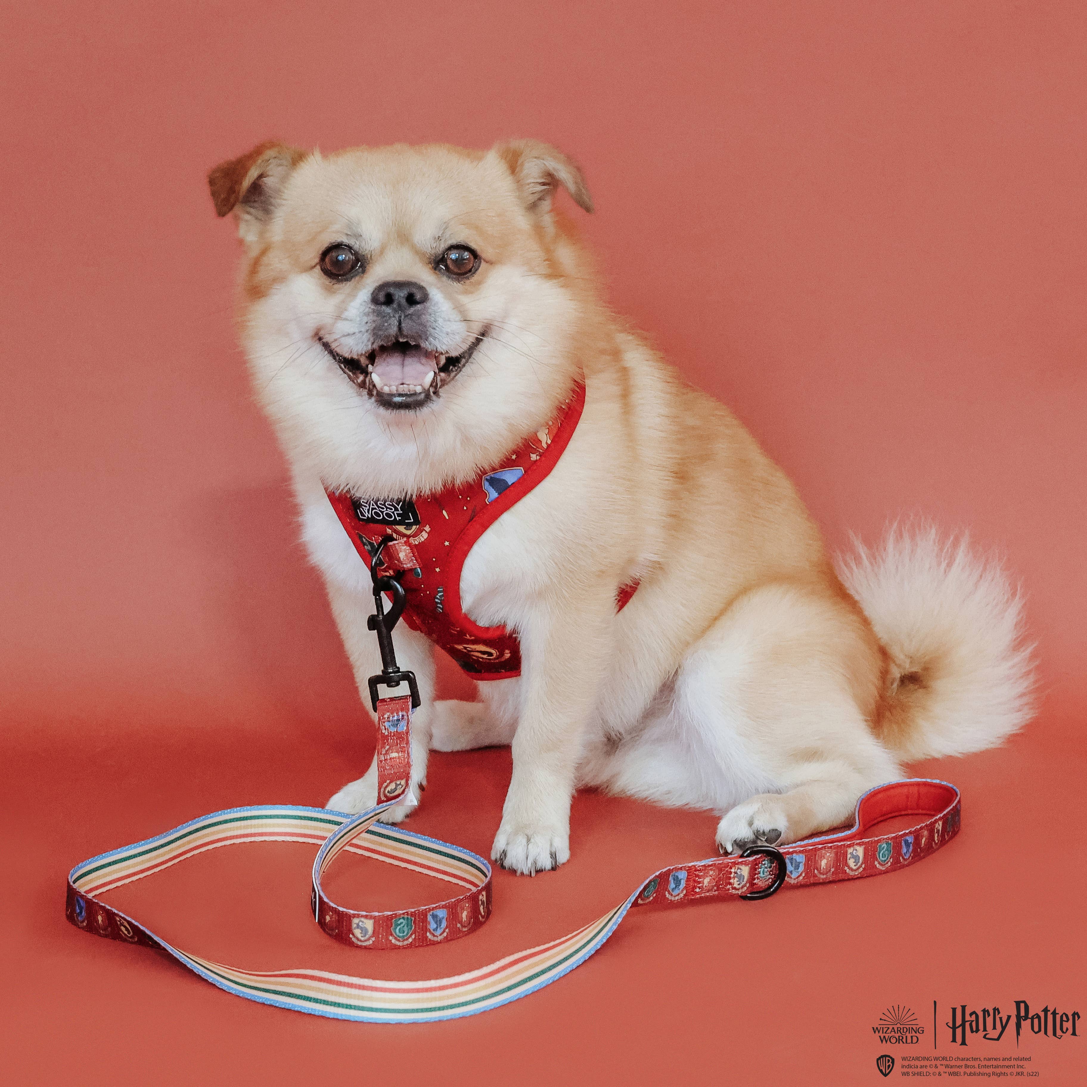 SASSY WOOF - Dog Adjustable Harness - Harry Potter: XL