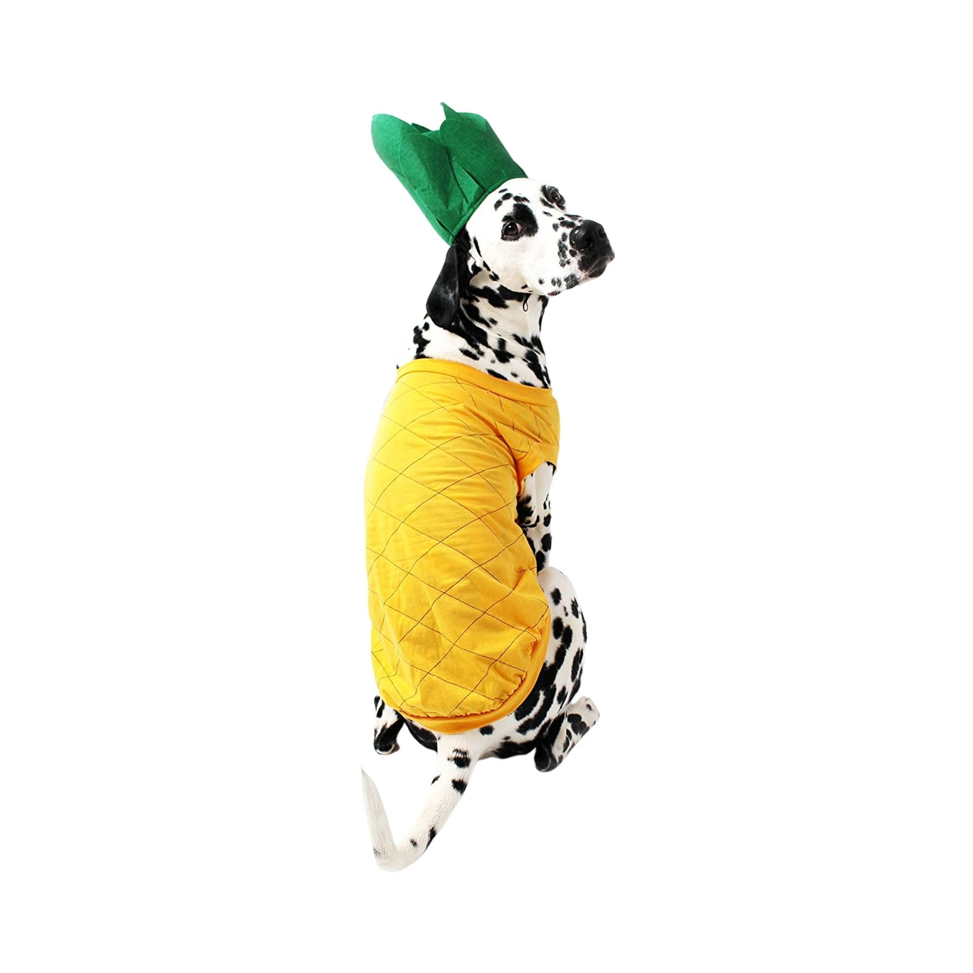 Midlee Designs - Midlee Pineapple Dog Costume: Medium