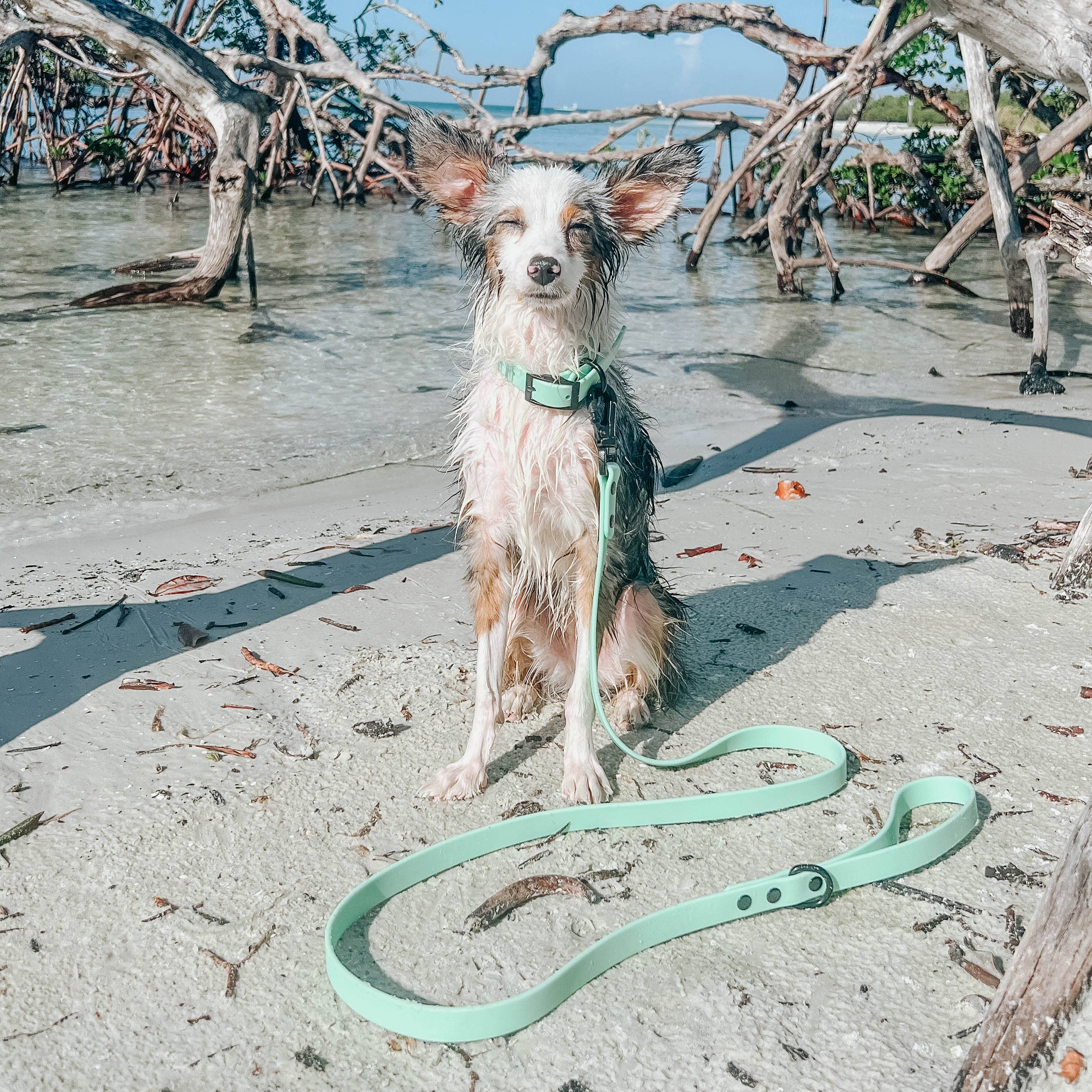 SASSY WOOF - Waterproof Dog Leash - Green