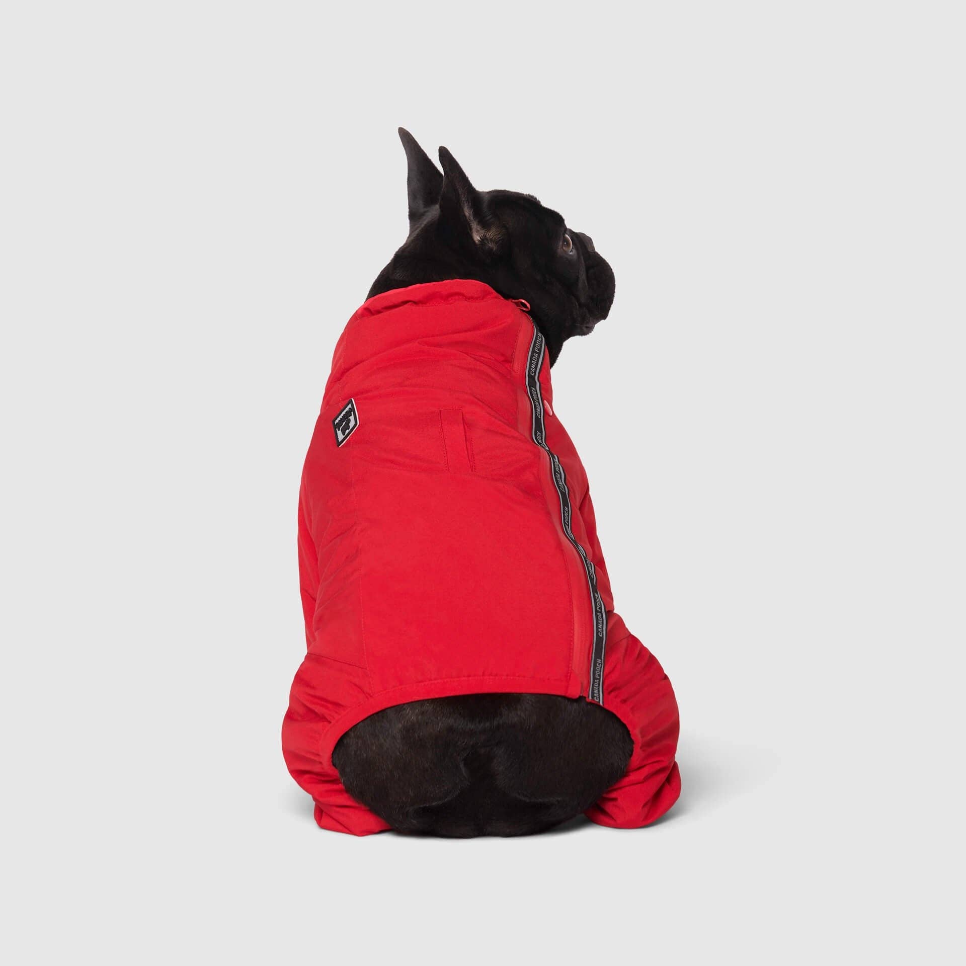 Canada Pooch - The Snow Suit- Dog Suit: Black / 10
