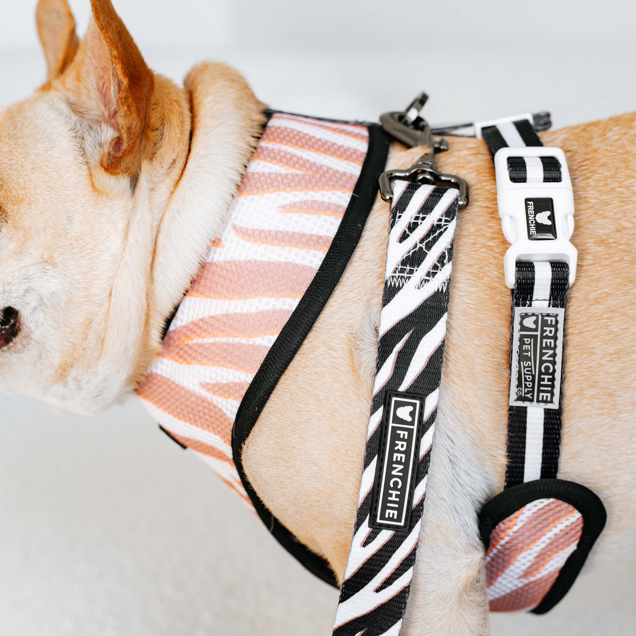 Frenchie - Frenchie Duo Reversible Harness - Zebra: Large