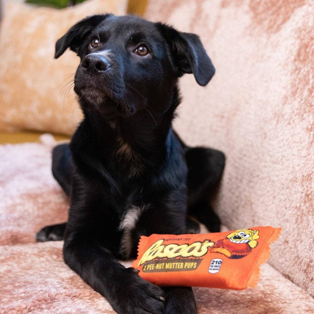 Huxley & Kent - Roscos Dog Toy: Small