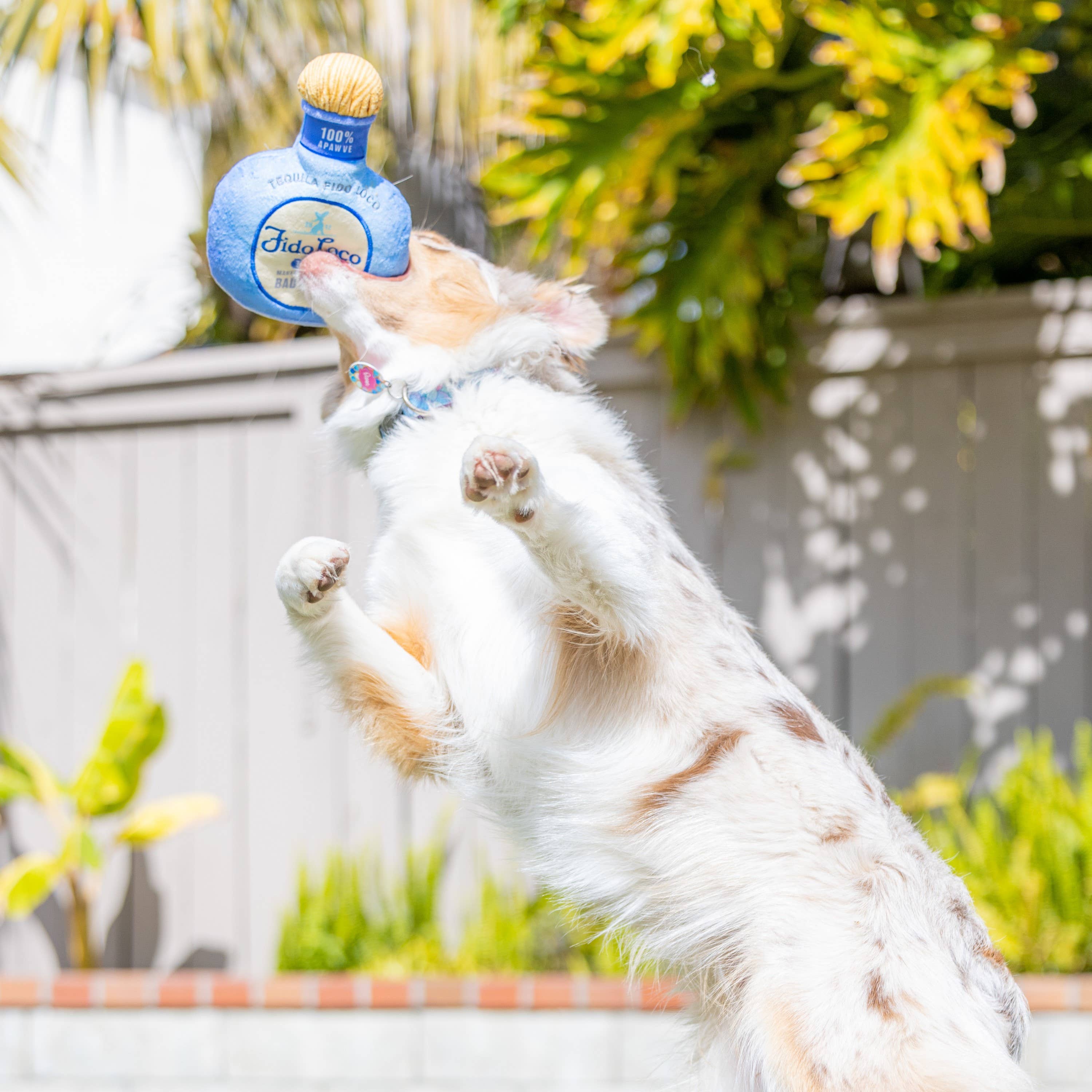 Huxley & Kent - Fido Loco Tequila Dog Toy: Small