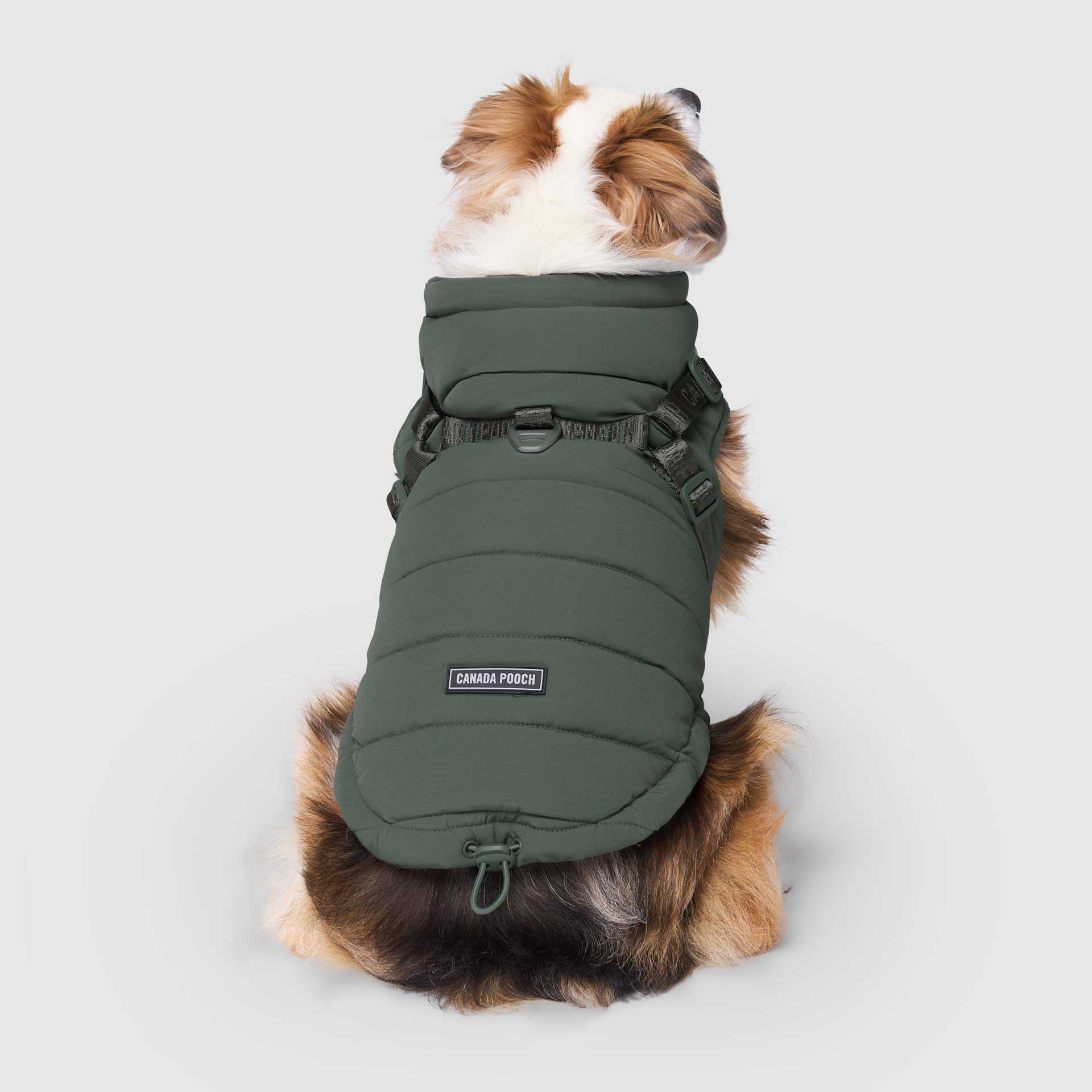 Canada Pooch - Harness Puffer- Dog Coat: Forest Green / 10