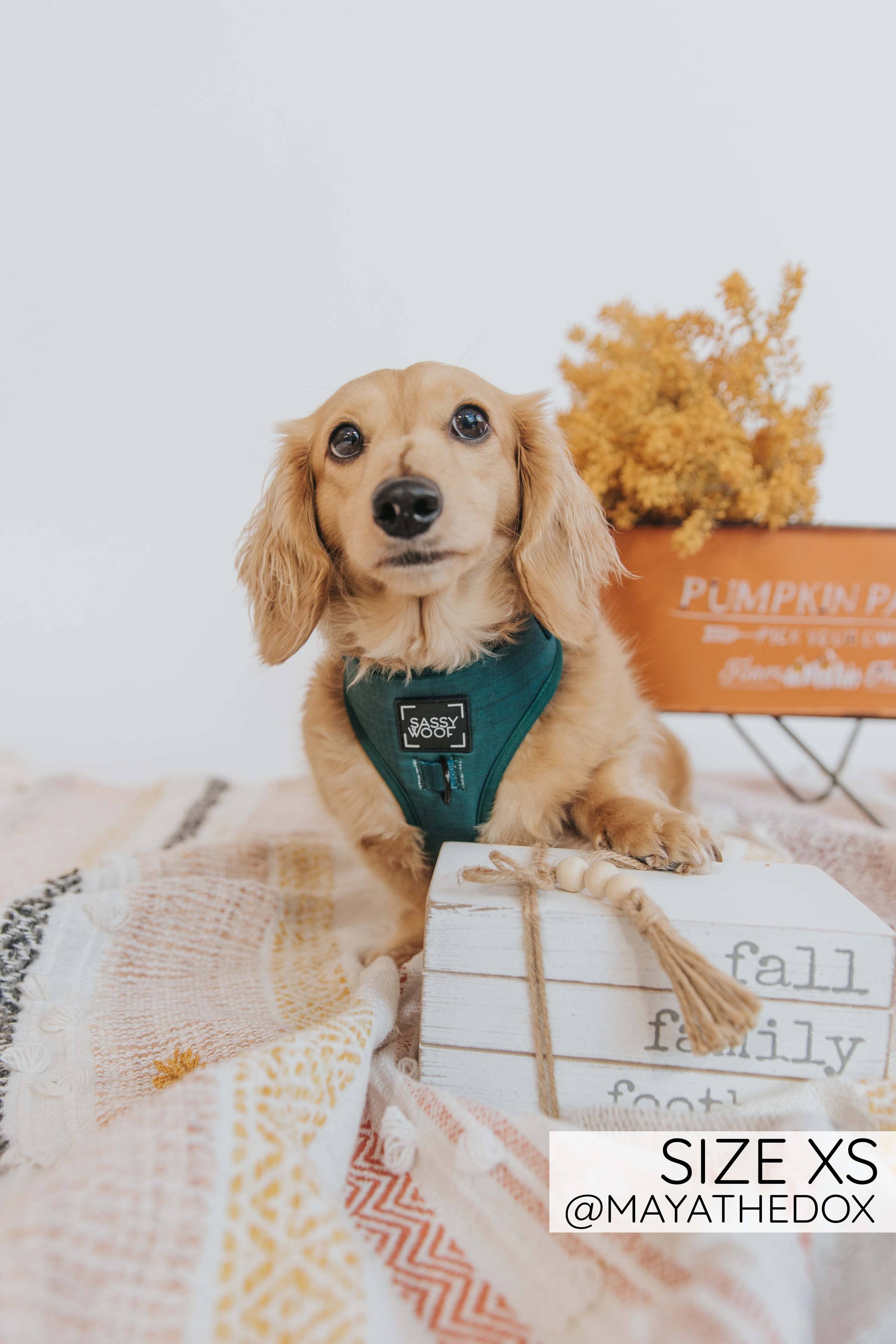 SASSY WOOF - Dog Adjustable Harness - Forest: XXL