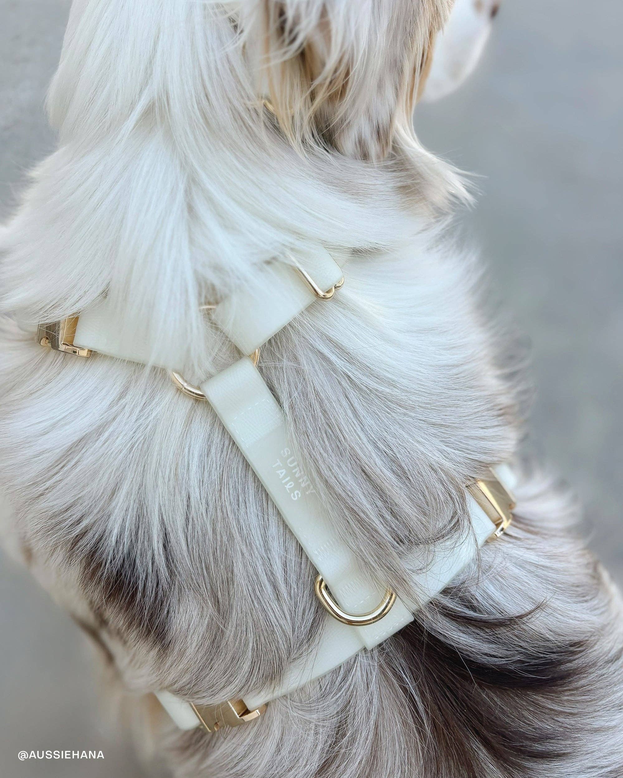 SUNNY TAILS - Lunar Glow Waterproof Dog Collar: SMALL