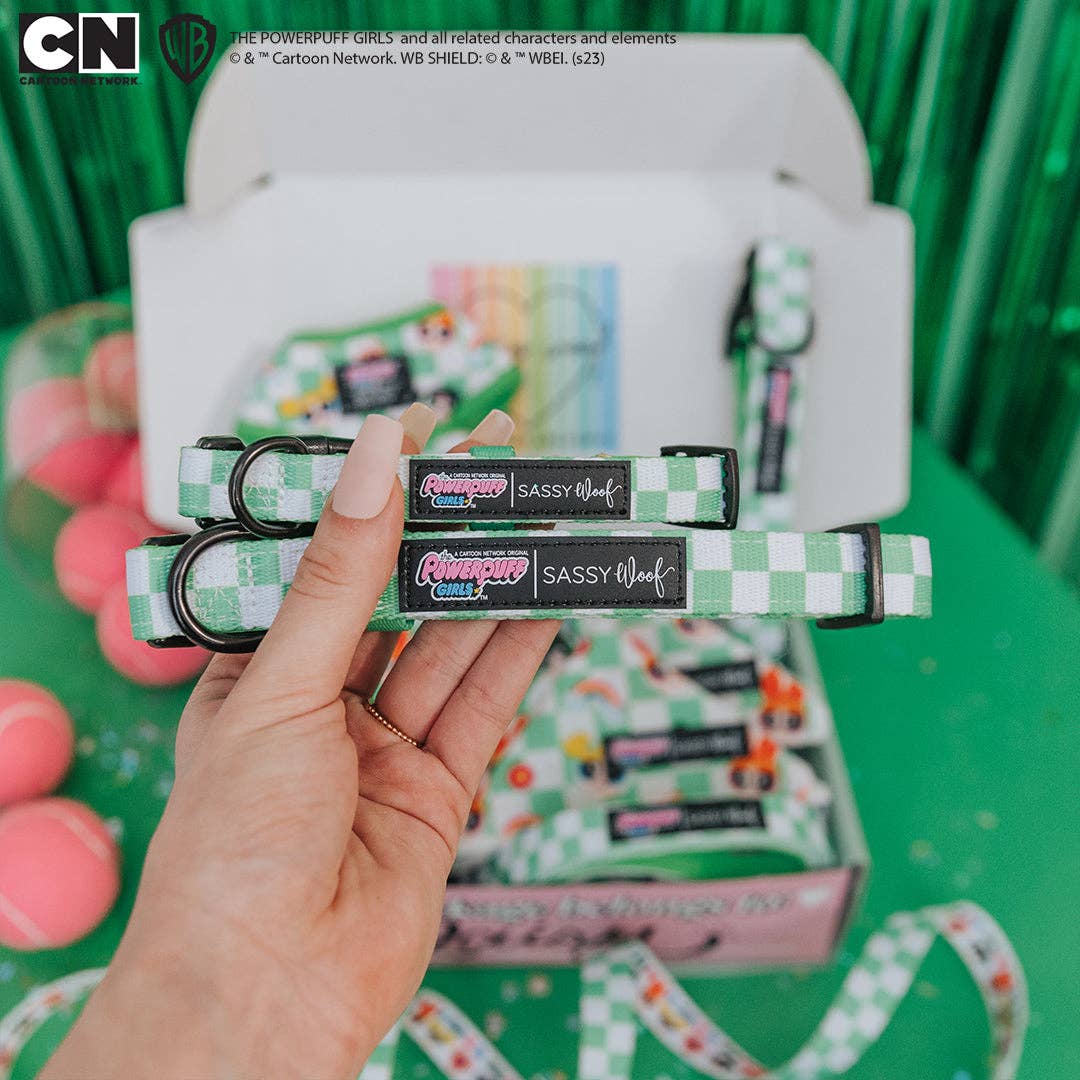 SASSY WOOF - Dog Collar - The Powerpuff Girls™ (Green): Small