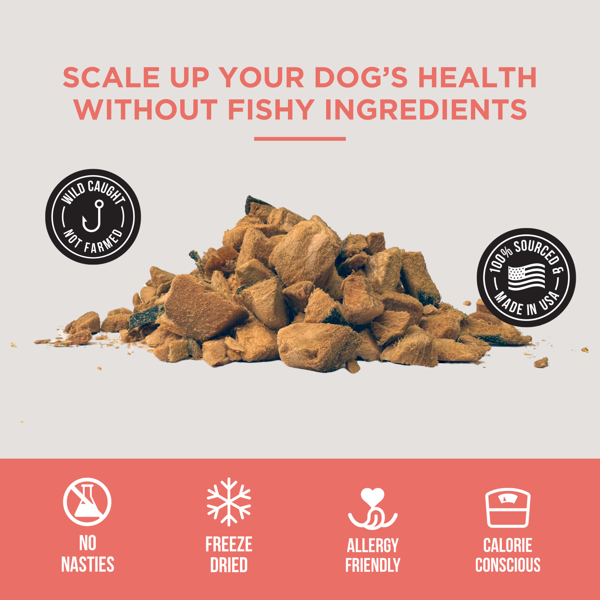 Natural Rapport - The Only Freeze Dried Salmon Dogs Need: 3 ounce
