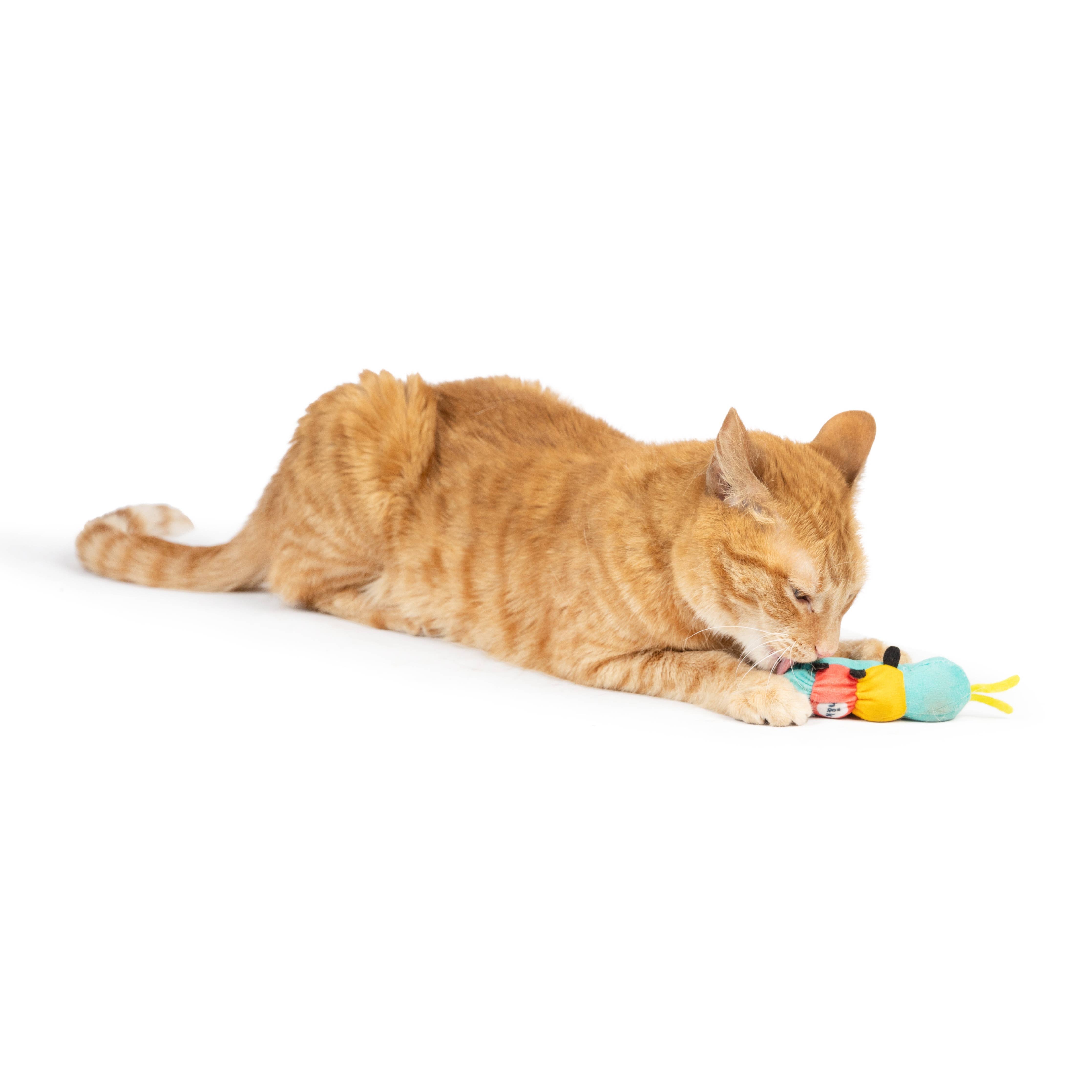 Huxley & Kent - Caterpillar Cat Toy: One Size