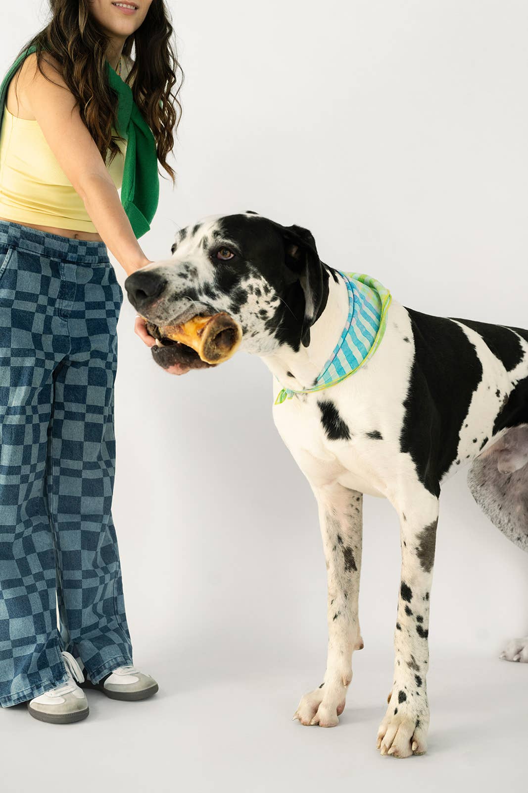 Winnie Lou - The Canine Co. - Bison Marrow Bone - 6-8"