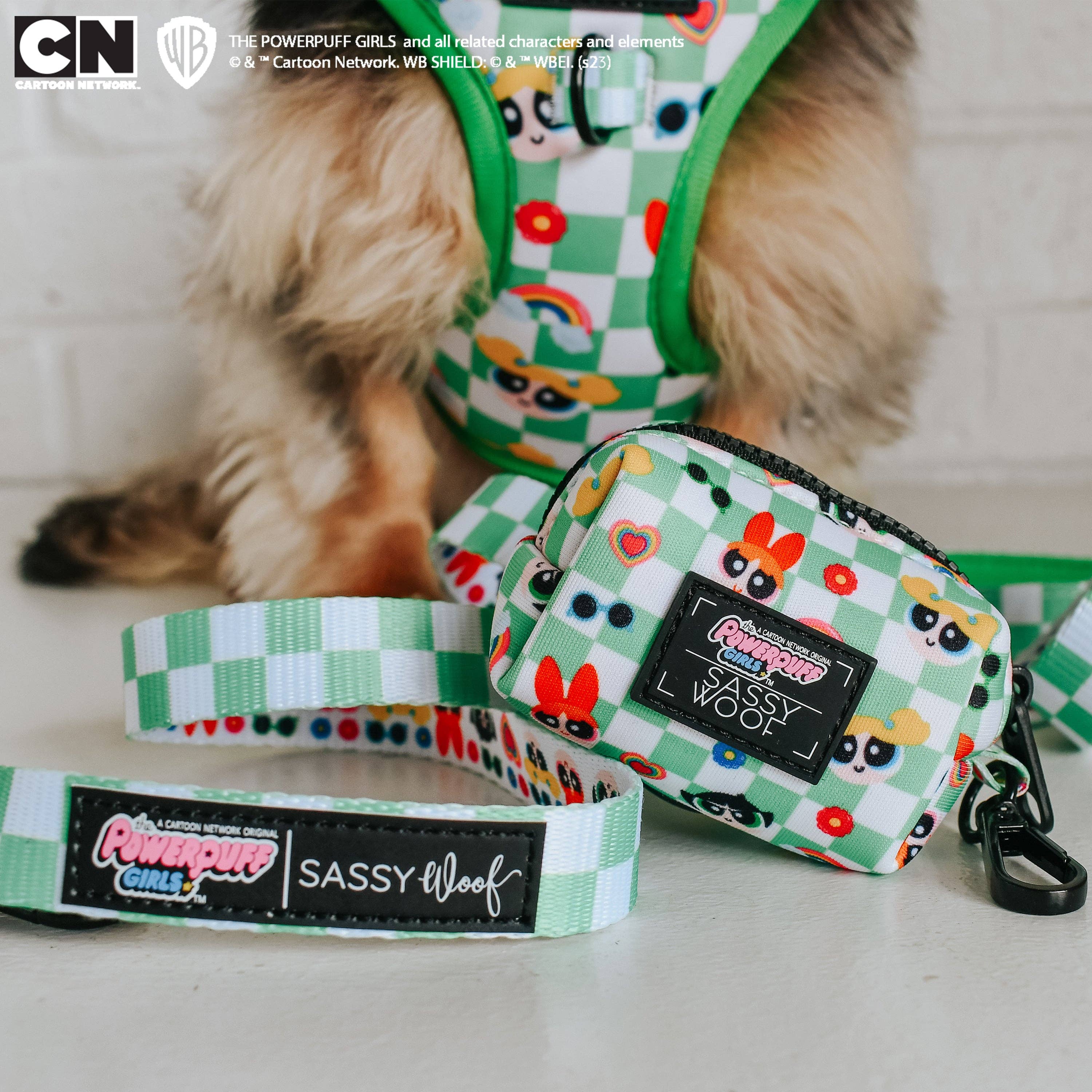 SASSY WOOF - Dog Leash - The Powerpuff Girls™ (Green)