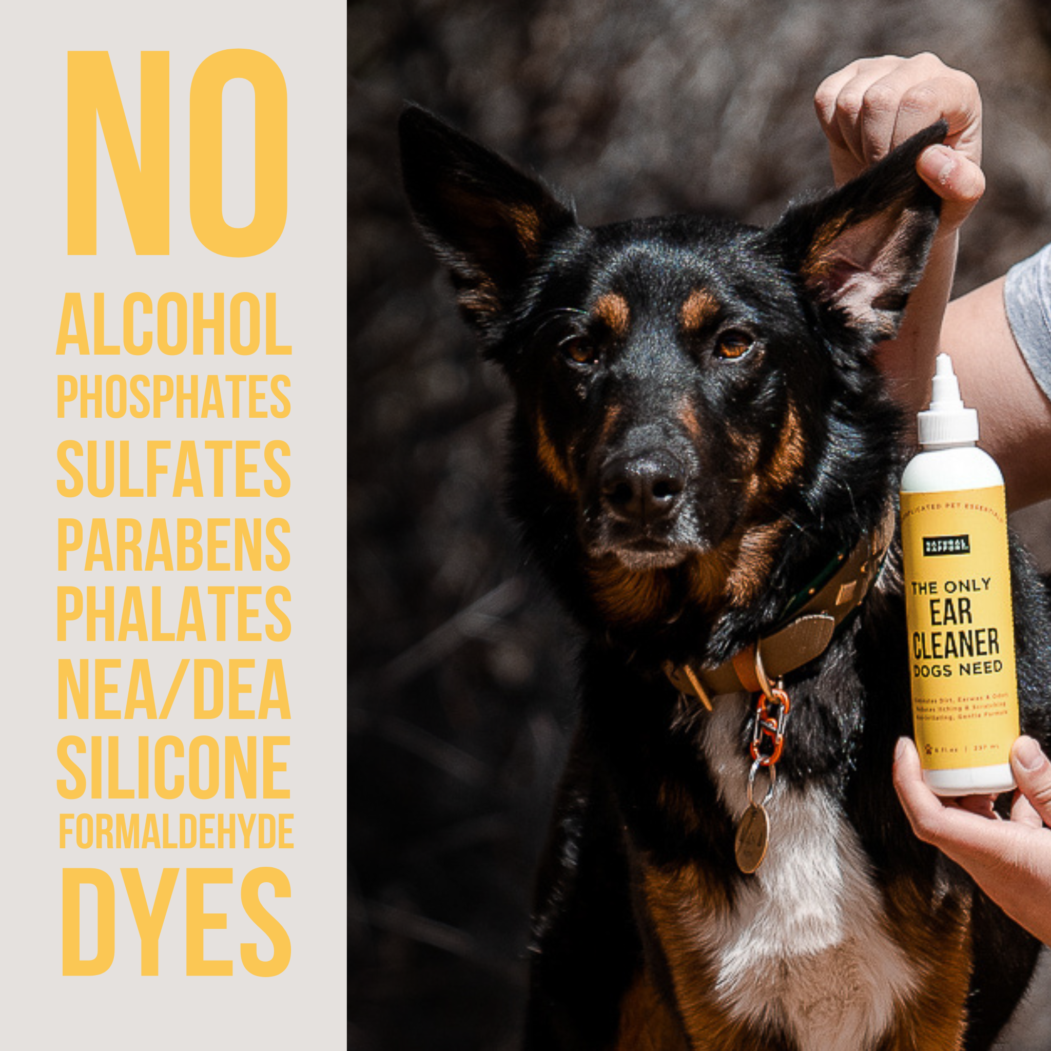 Natural Rapport - The Only Ear Cleaner Dogs Need: 3 ounce