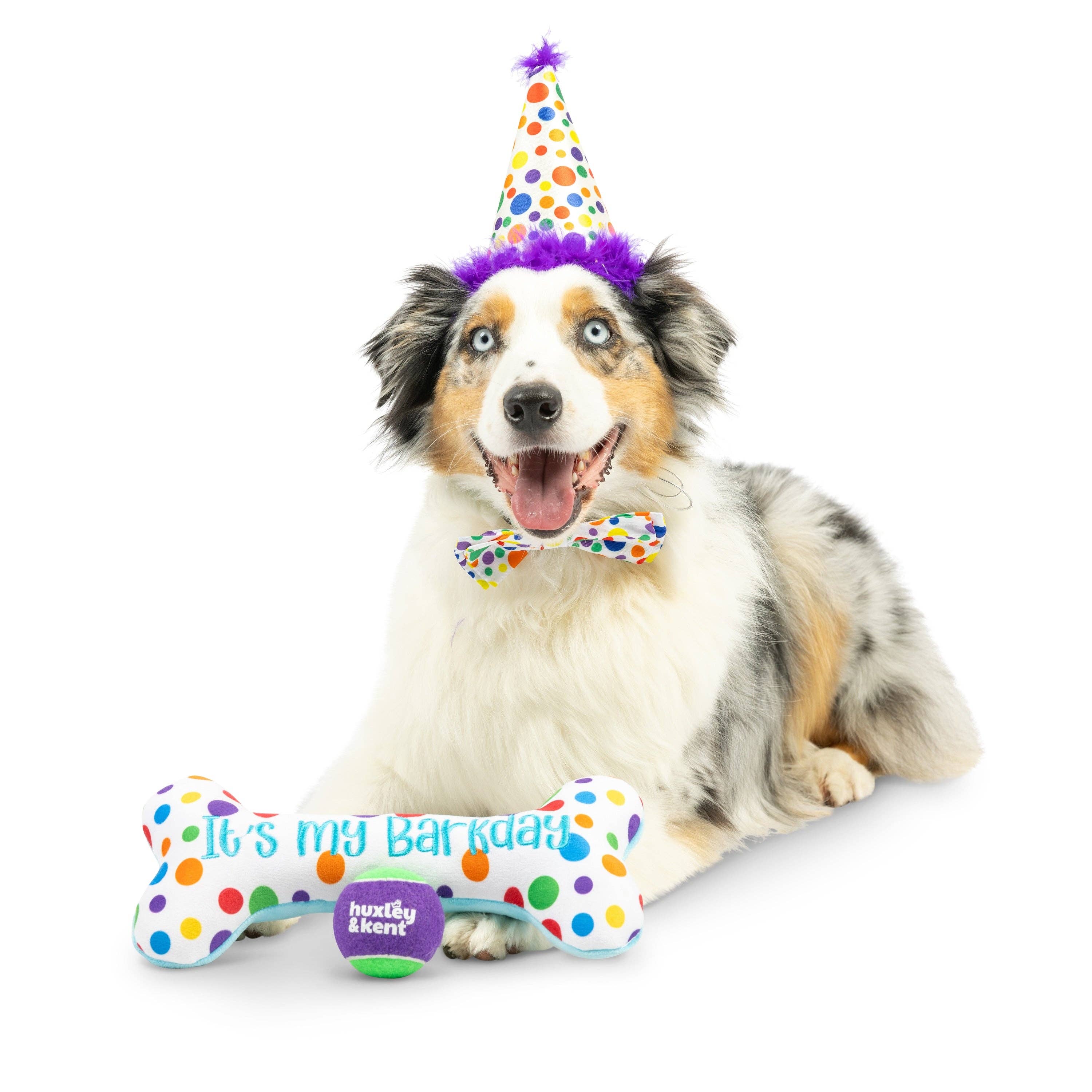 Huxley & Kent - Happy Barkday Celebration Box: Small