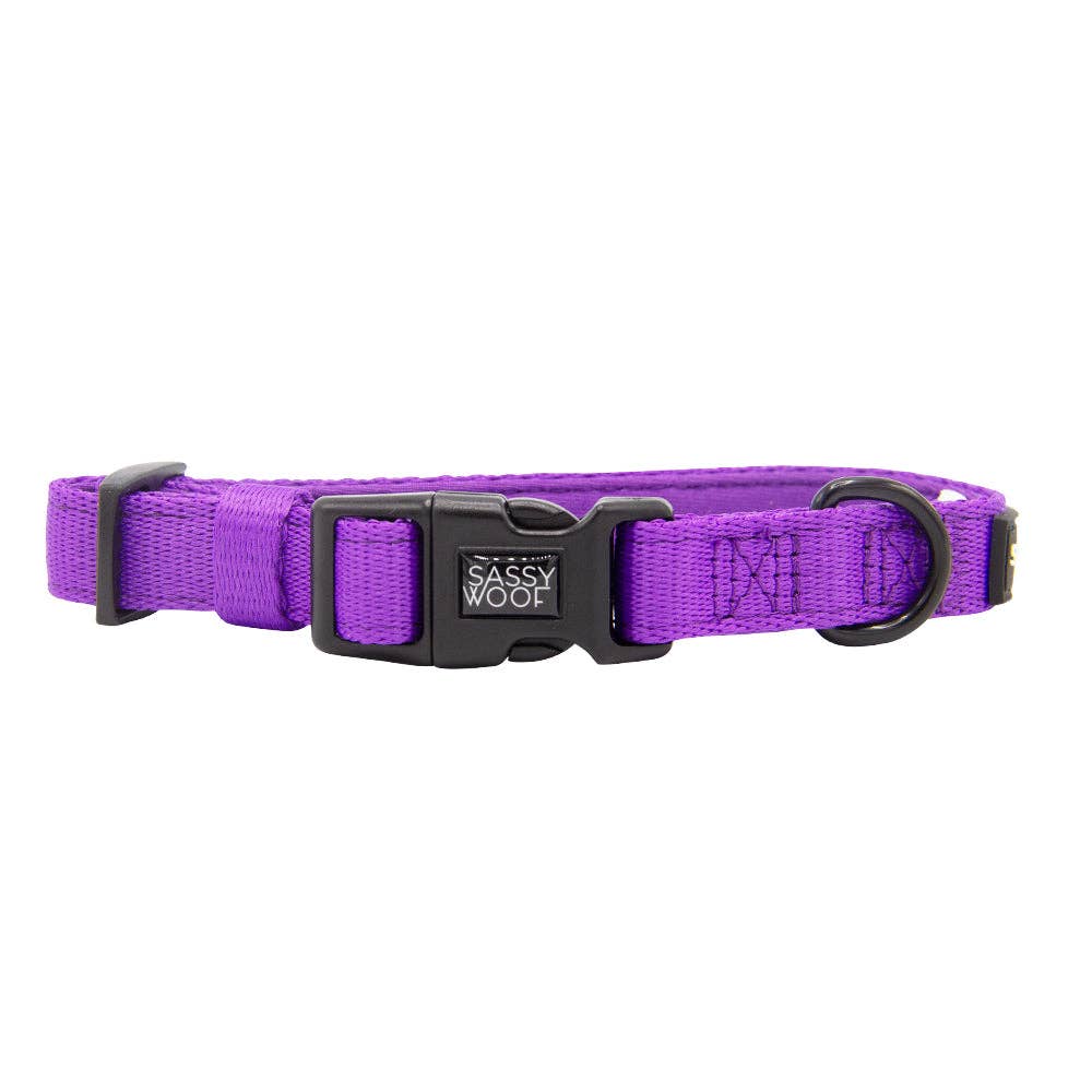 SASSY WOOF - Dog Collar - Neon Purple: Small