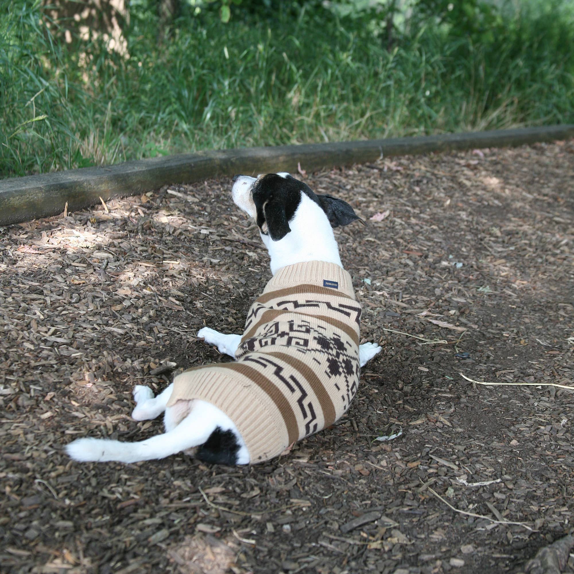 Pendleton Pet Knitted Pull Over Dog Sweater - Westerley: Small