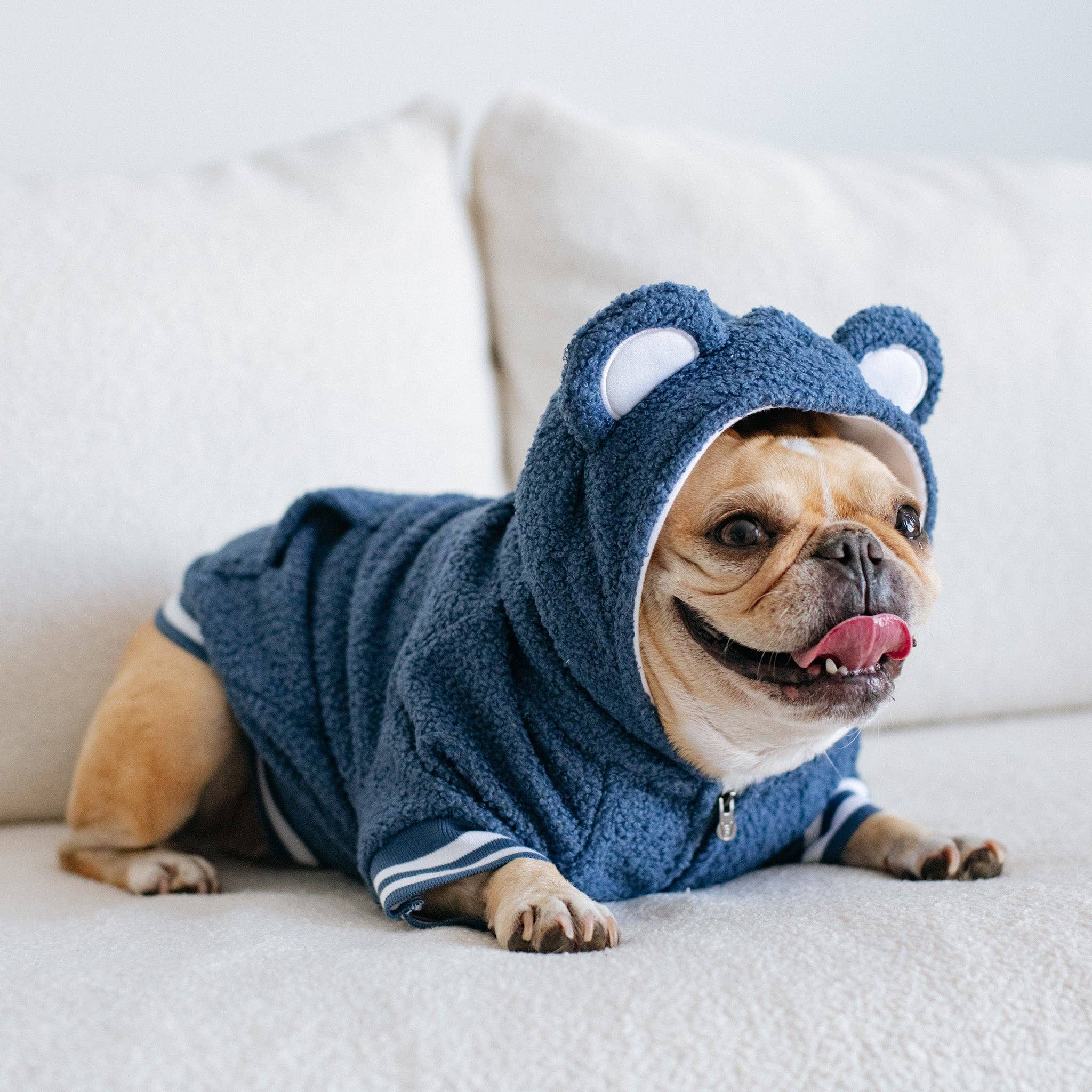 Frenchie - Frenchie Dog Hoodie - Blue Teddy: L