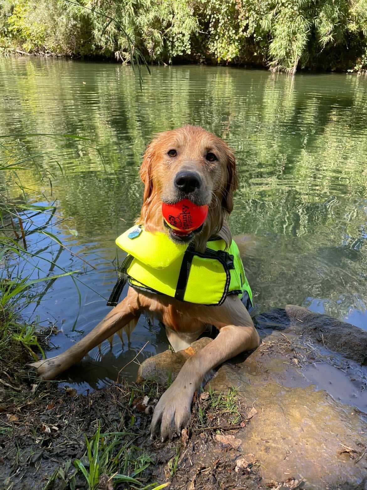 Spunky Pup - Fetch and Glow Ball: Medium