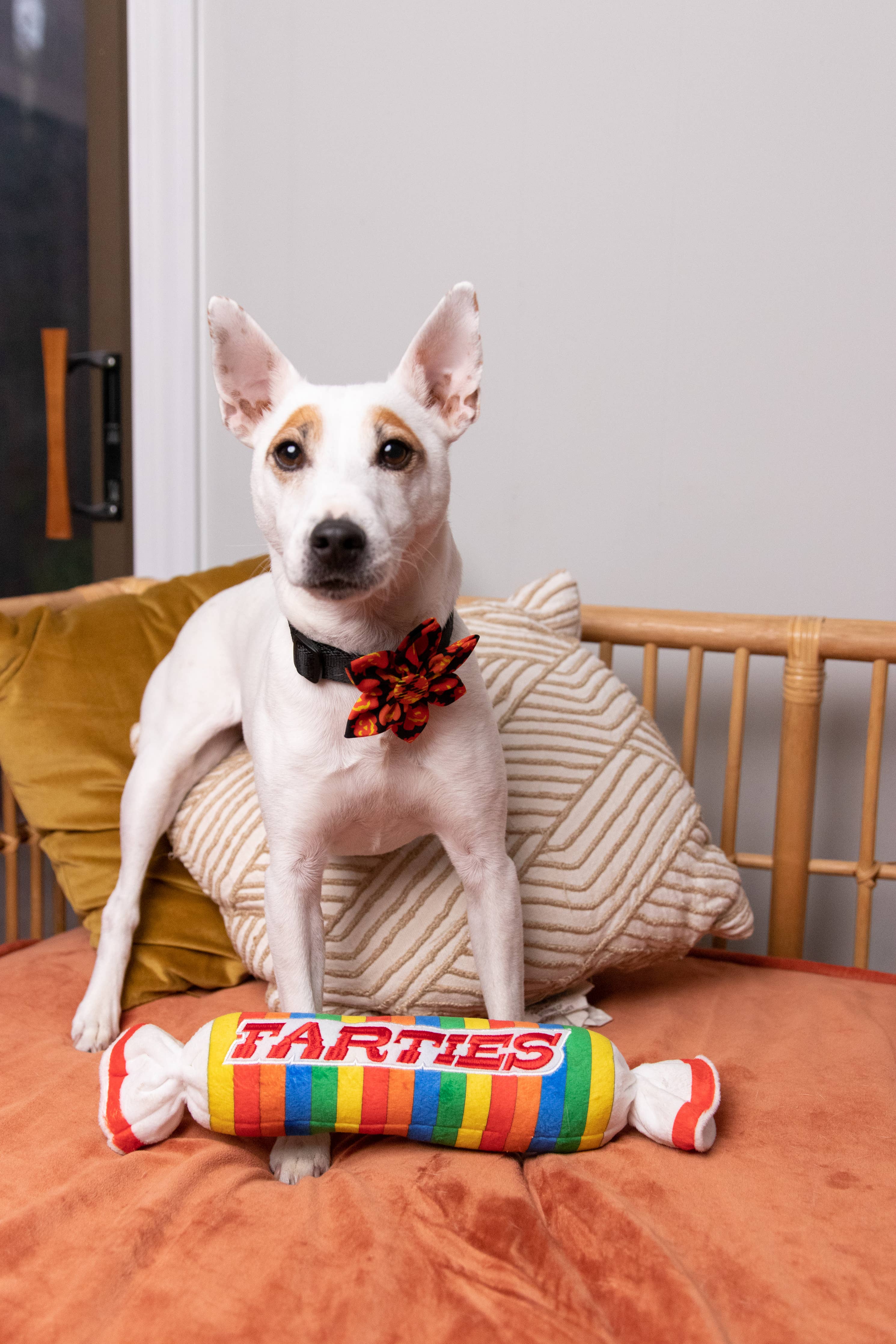 Huxley & Kent - Farties Dog Toy: Large