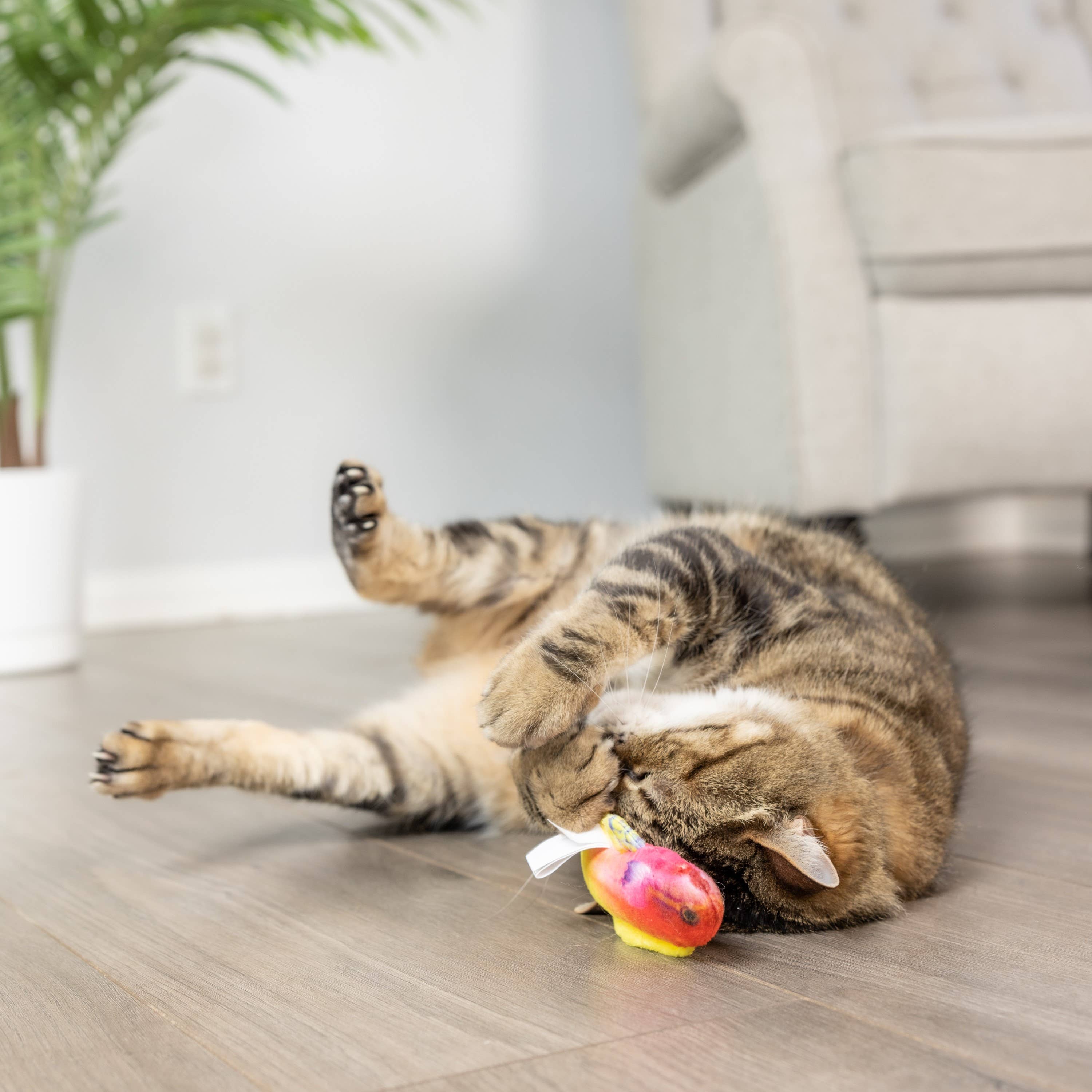 Huxley & Kent - Rainbow Guppy for Cats