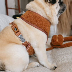 Frenchie - Frenchie Duo Reversible Harness - Teddy Brown: XS