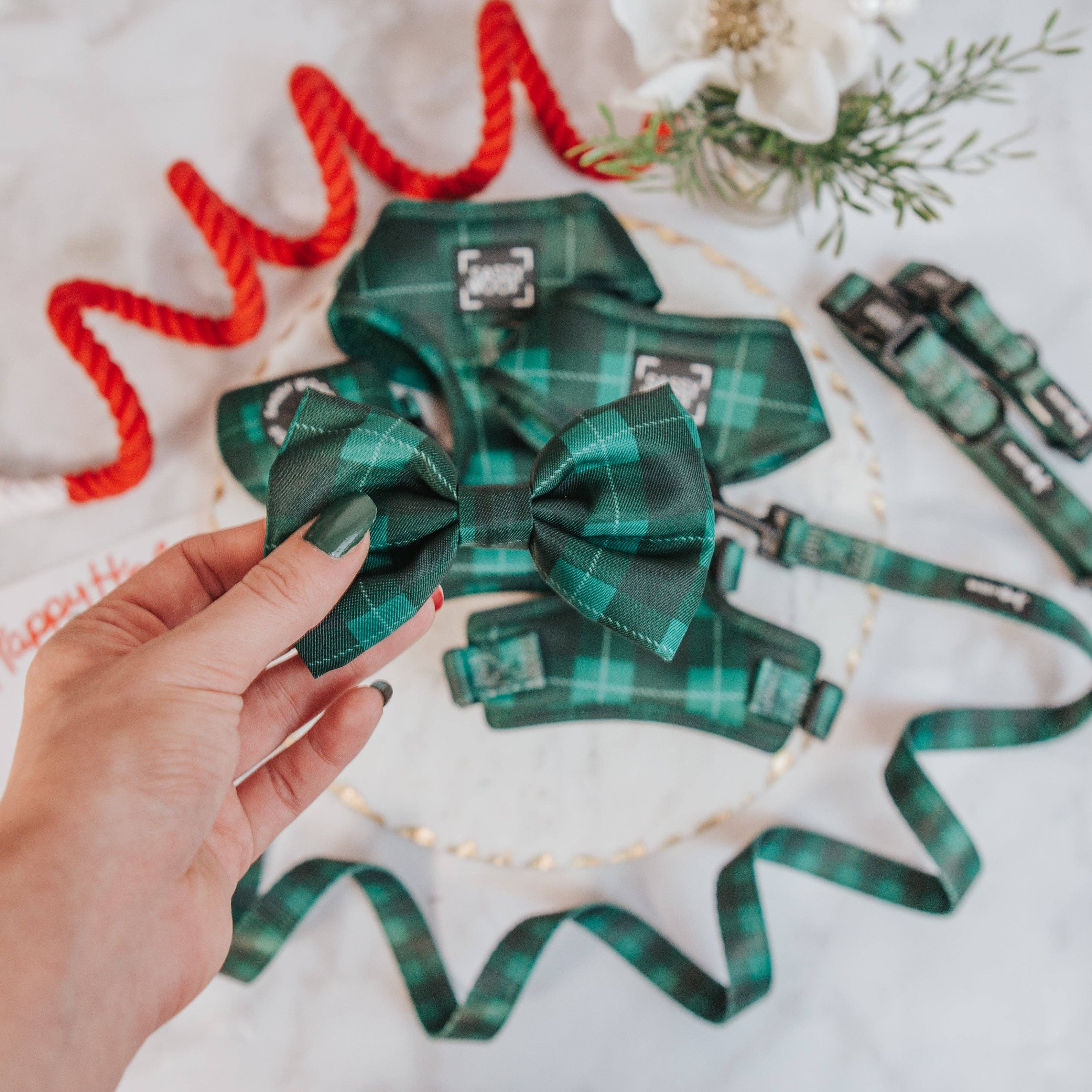SASSY WOOF - Dog Bowtie - Barks of Holly (Christmas)