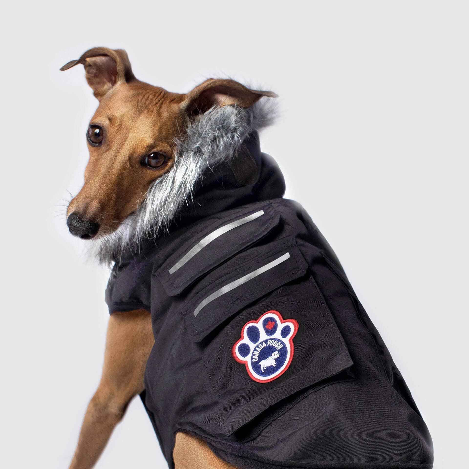 Canada Pooch - Everest Explorer Jacket- Dog Coat: Black / 14
