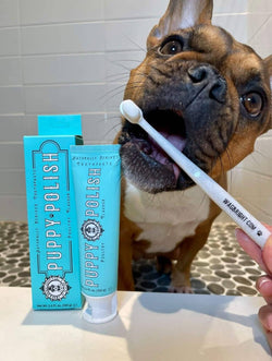 Puppy Polisher Mini Eco Toothbrush (SM/M)