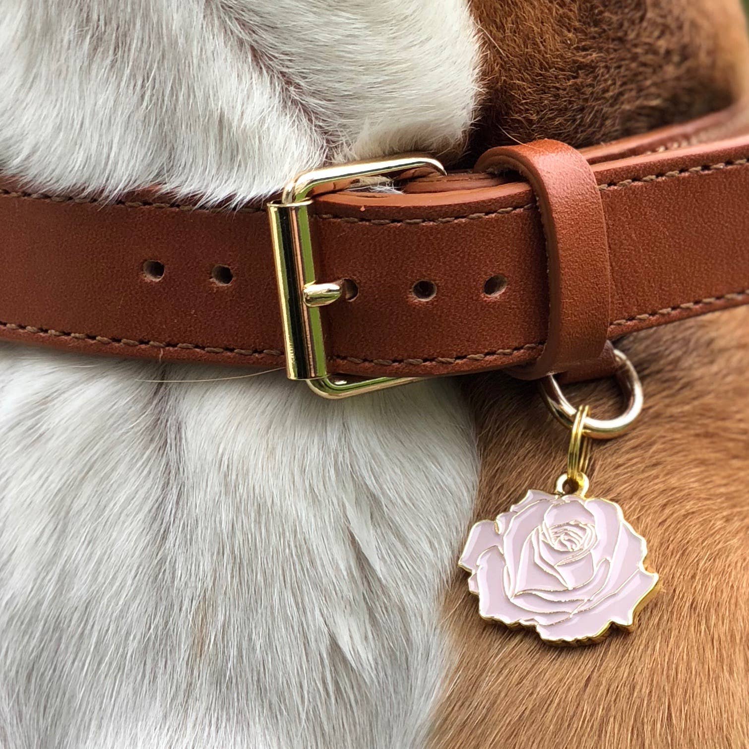 Two Tails Pet Company - Rose Pet ID Tag: Pink & Gold