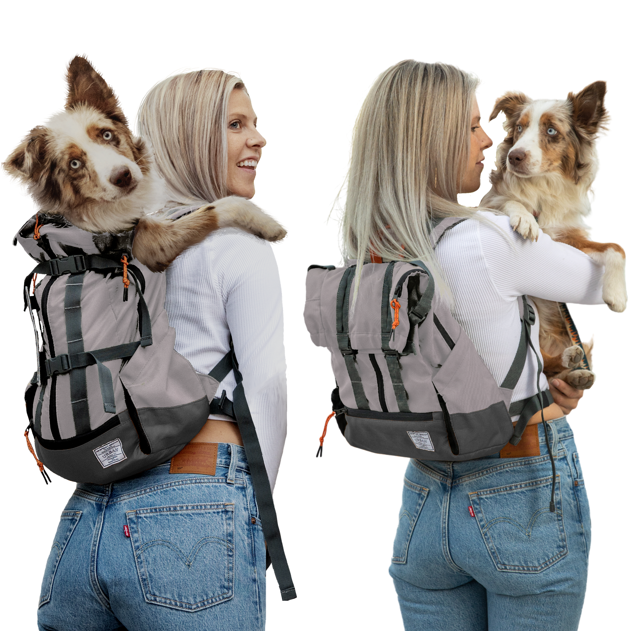 K9 Sport Sack - Urban 3: Large (20"-23" from collar to tail) / Leafy