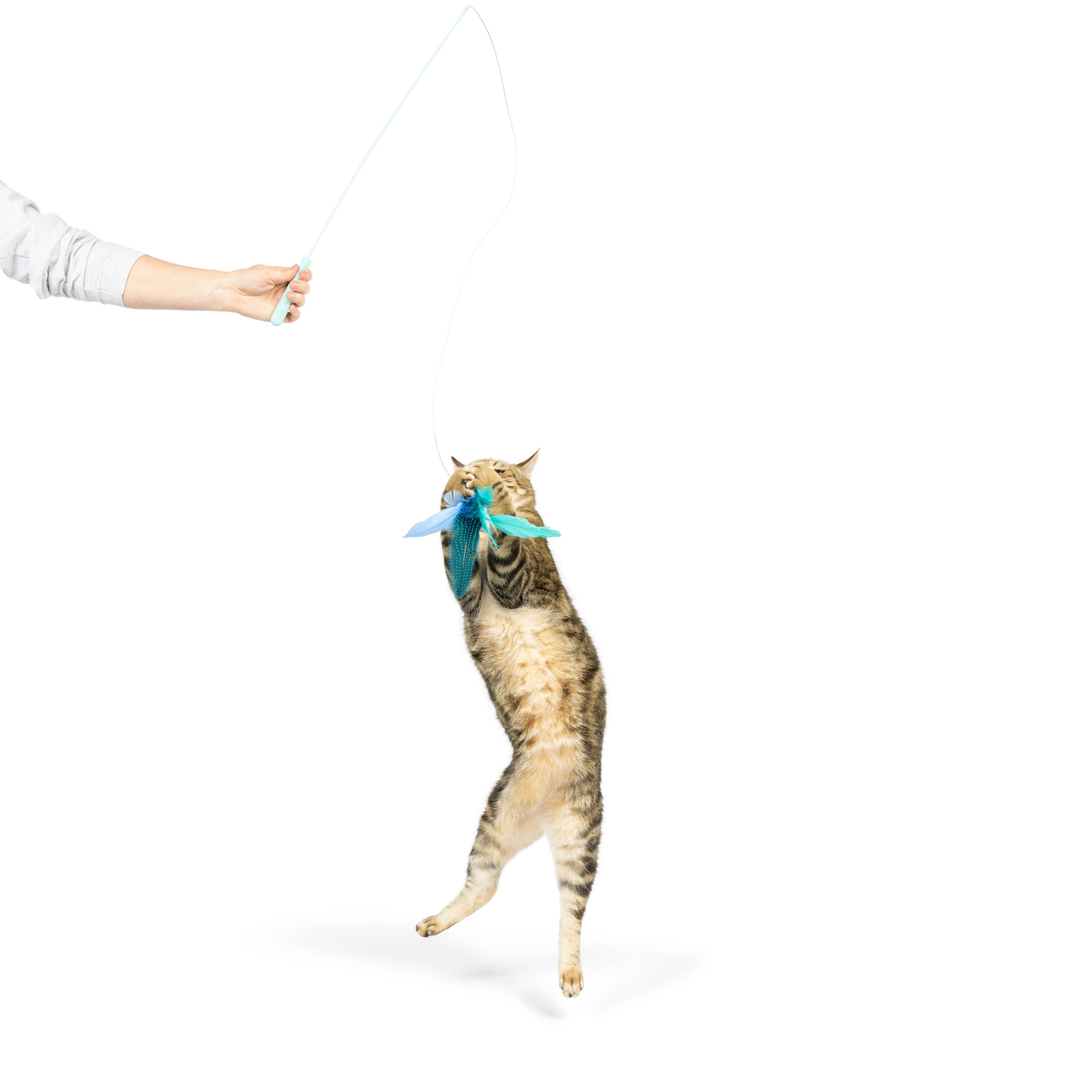 Huxley & Kent - Teaser Kitty Loco Cat Wand: One Size