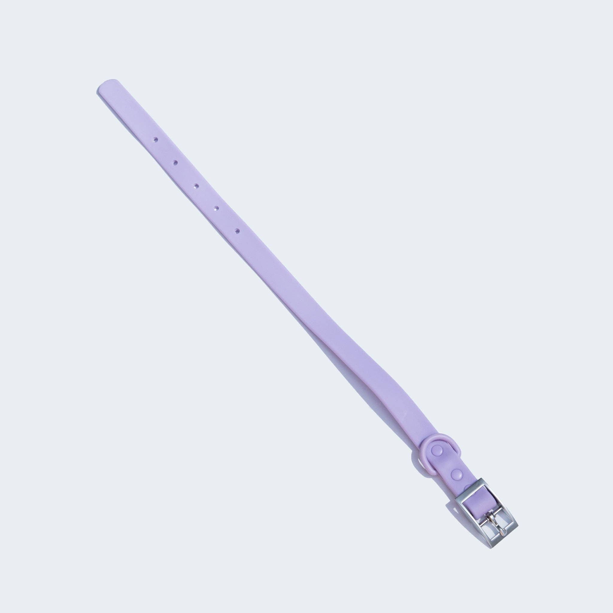 dogged - Dogged basics collar - lavender: S