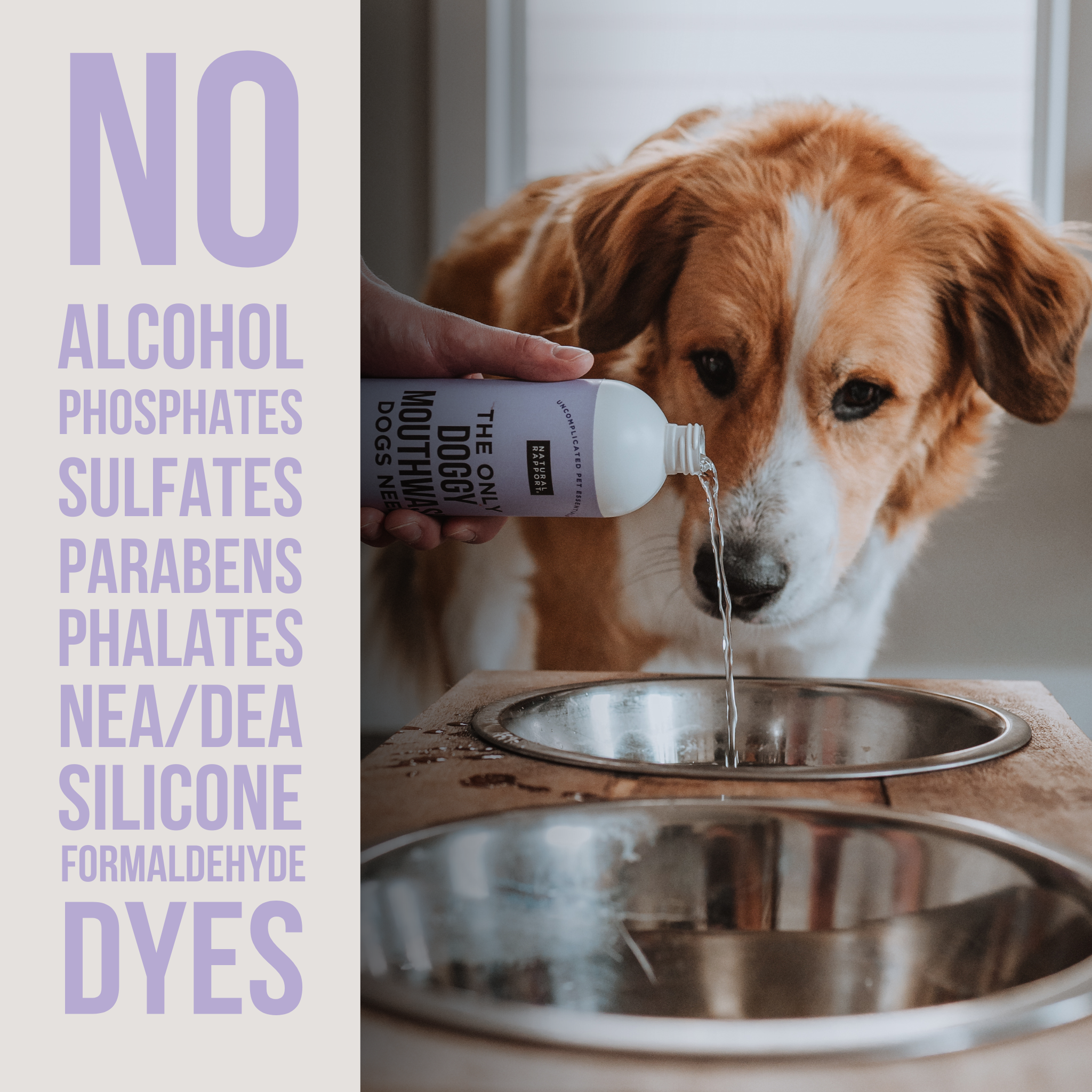 Natural Rapport - The Only Doggy Mouthwash Dogs Need: 16 ounce