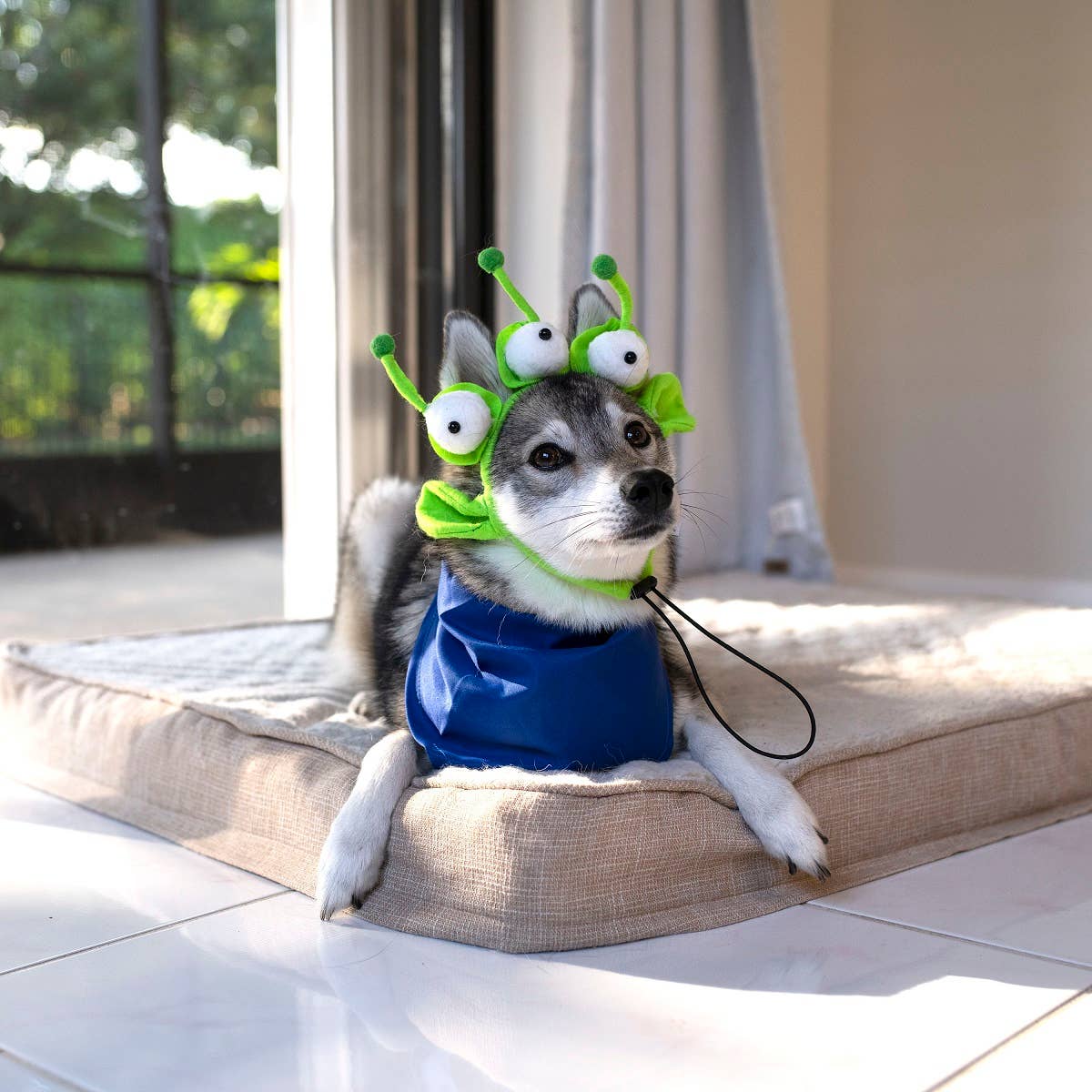 Midlee Designs - Midlee Alien Dog Costume Headband