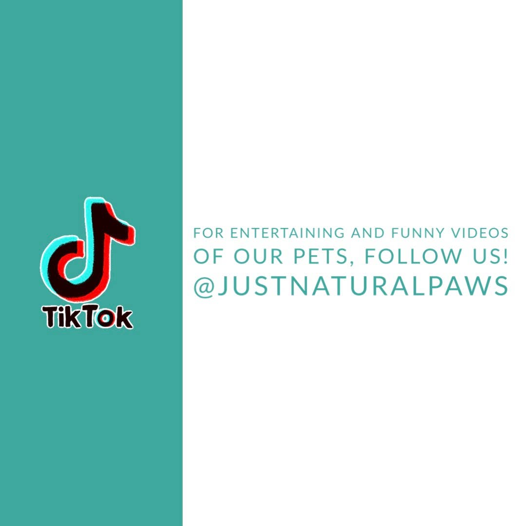 Just Natural Paws Peanut Butter & Pumpkin Trainers