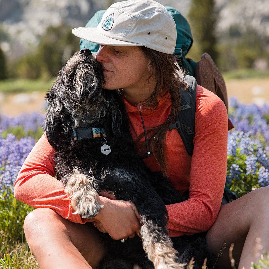 Lifekey Mini Smart Pet Tag Fresh Breath