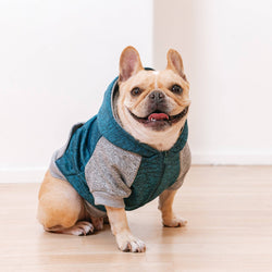 Frenchie - Frenchie Dog Hoodie - Blue & Grey: M