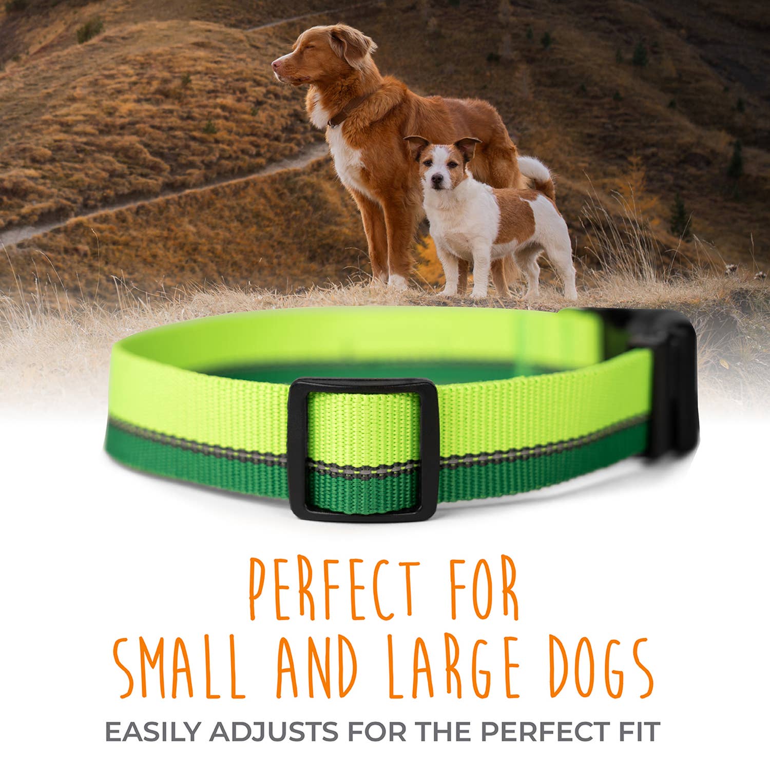 Mighty Paw - Standard Reflective Colorblast Dog Collar: Green / Medium
