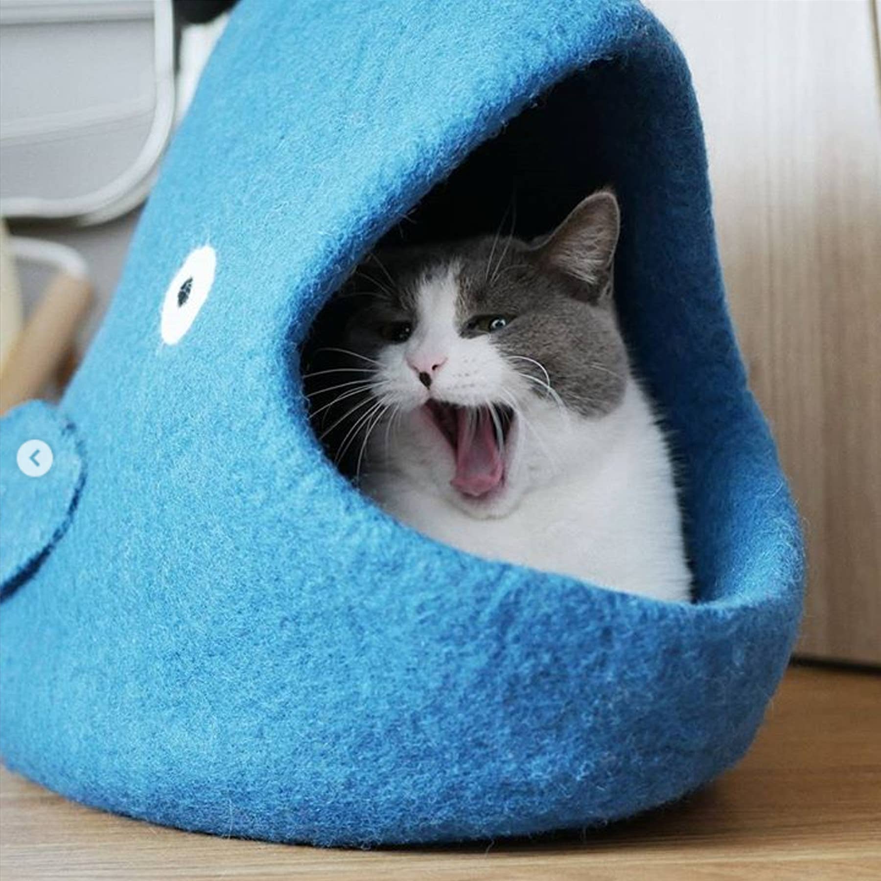 Dharma Dog Karma Cat - Whale Wool Pet Cave