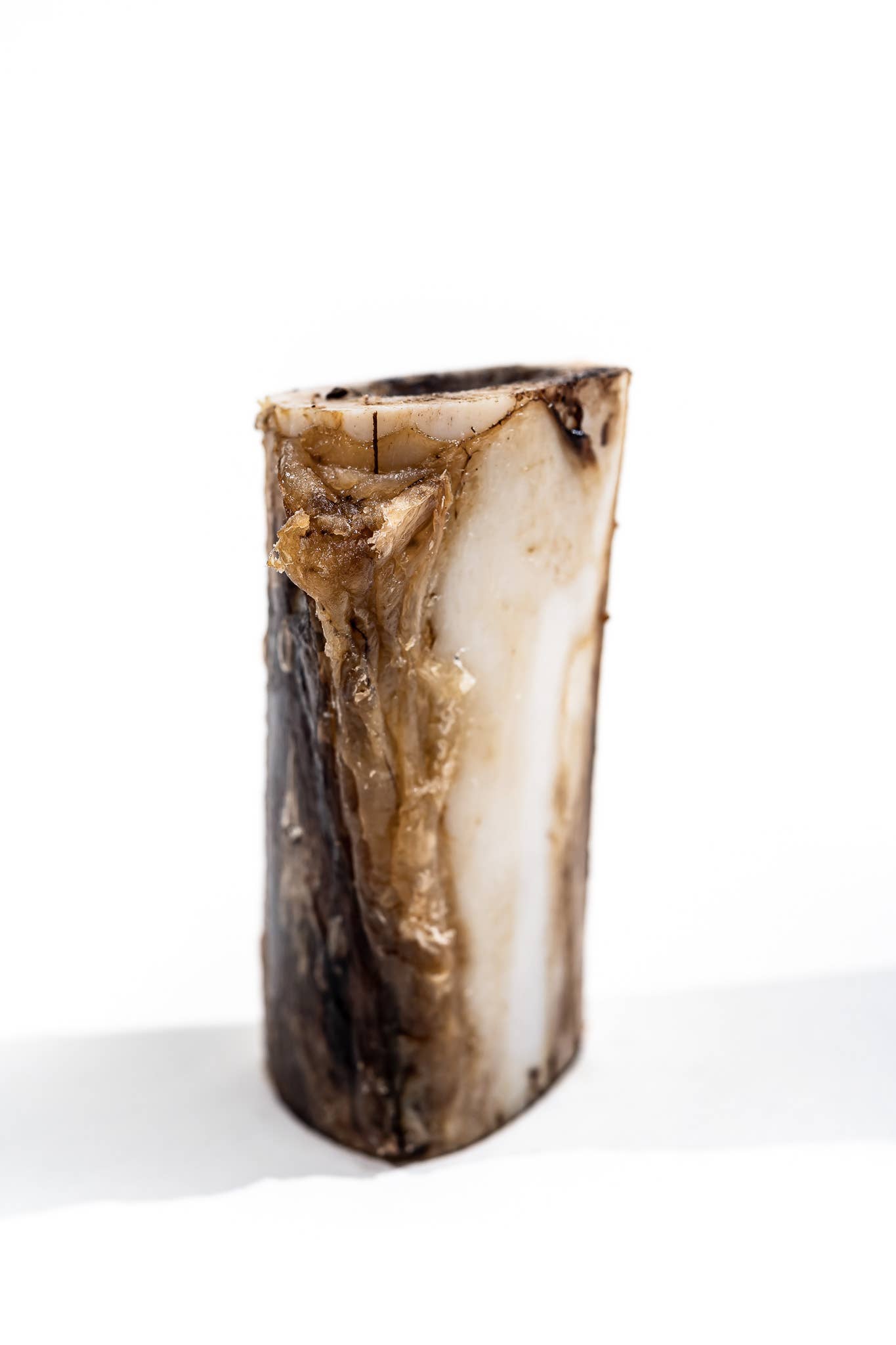 Winnie Lou - The Canine Co. - Bison Marrow Bone - 4"