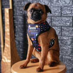 Frenchie - Frenchie Duo Reversible Harness - Arcade: M