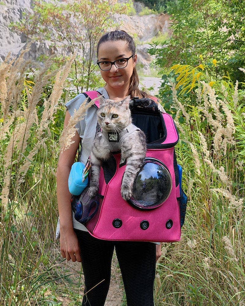 Travel Cat | Your Cat Backpack - "The Fat Cat" Cat Backpack in Deep Rose Pink