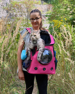 Travel Cat | Your Cat Backpack - "The Fat Cat" Cat Backpack in Deep Rose Pink