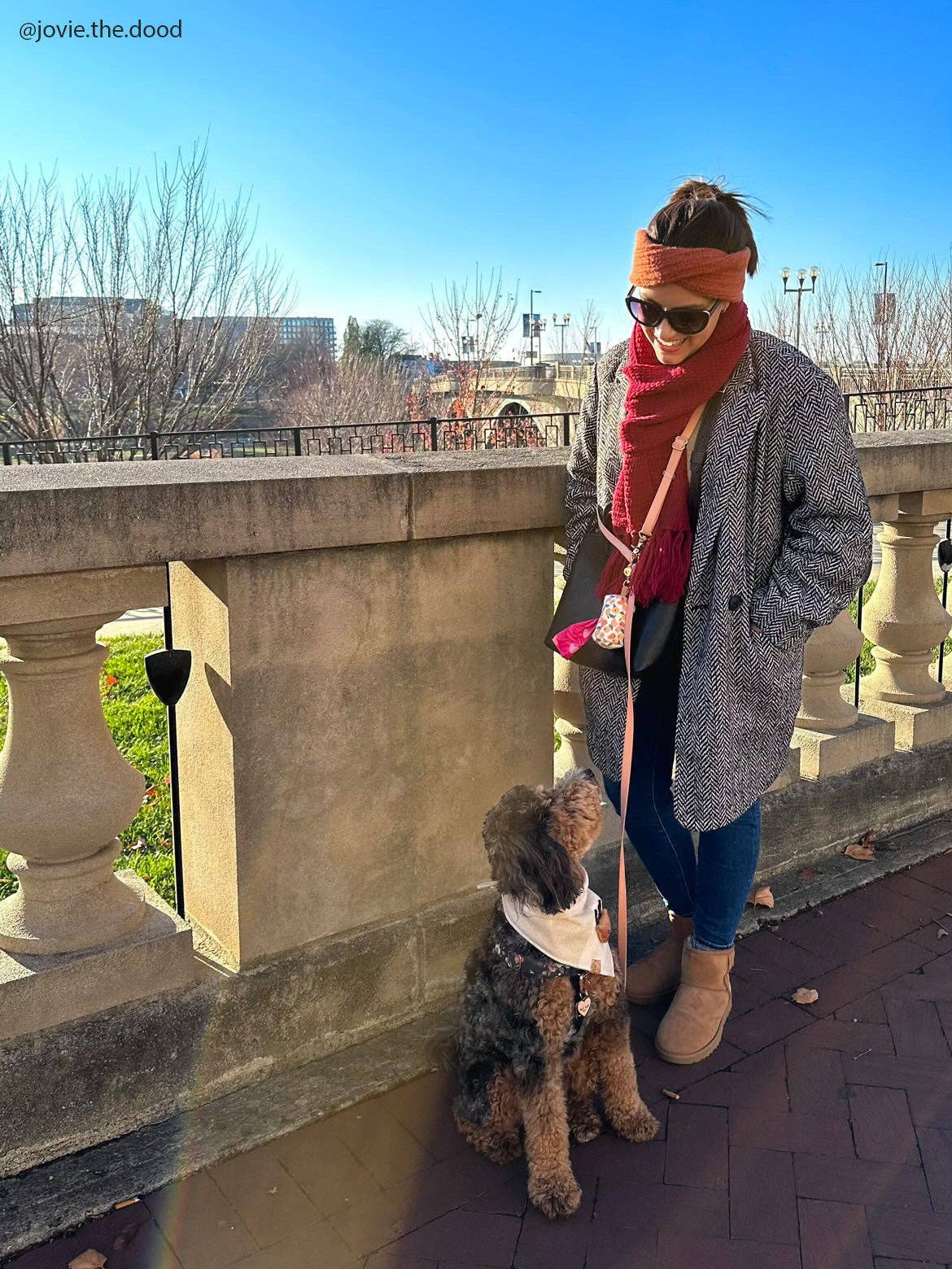 SUNNY TAILS - Chai Brown 4-in-1 Convertible Hands Free Cloud Dog Leash: Standard
