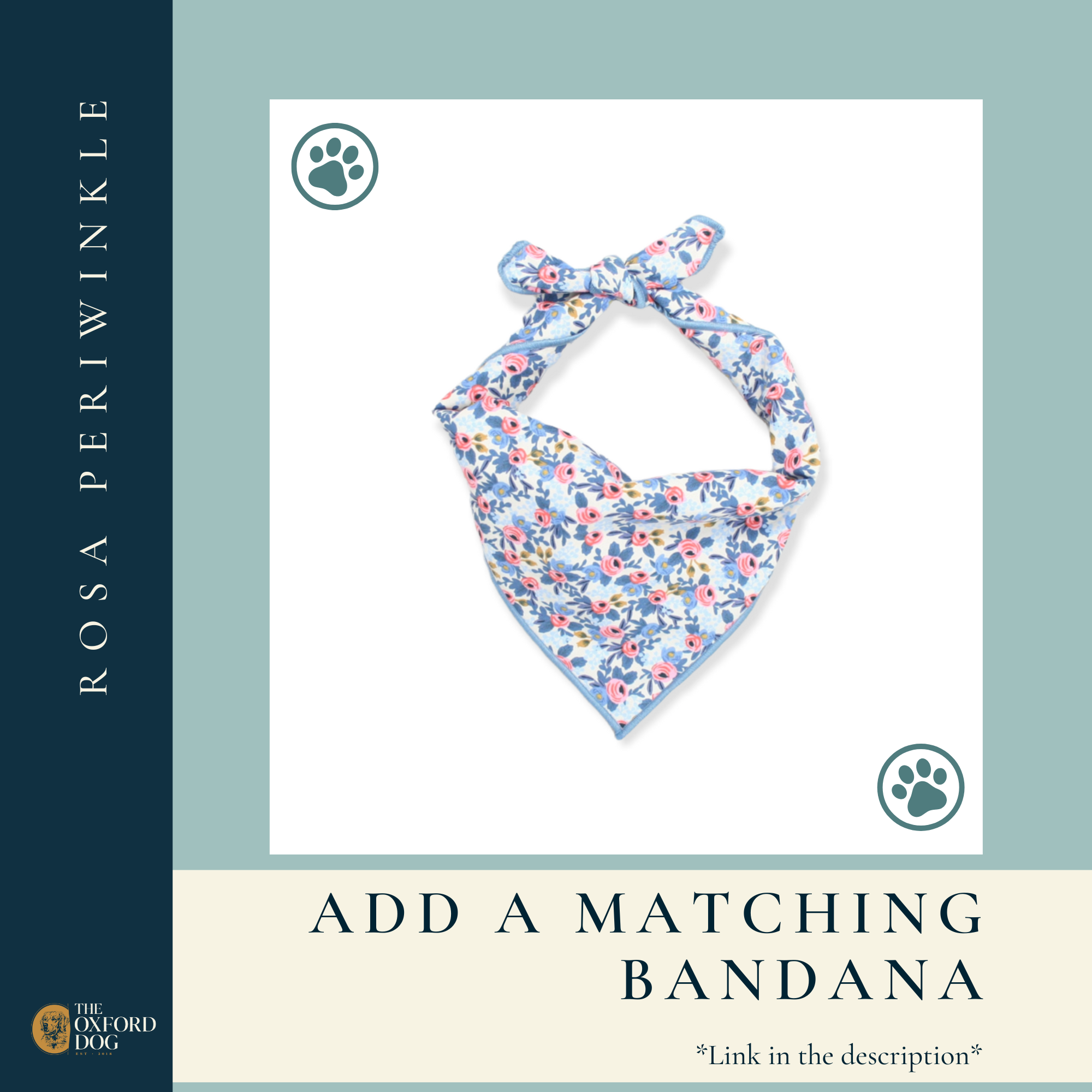 The Oxford Dog - Floral Dog Collar, Girl Dog Collar, Rosa Periwinkle, Oxford: Black Plastic / LARGE