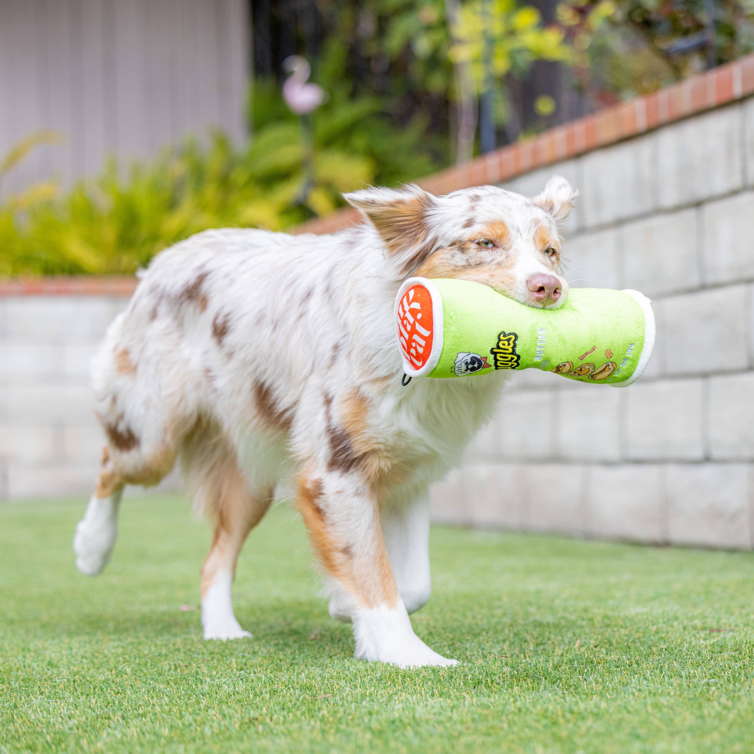 Huxley & Kent - Puggles Can For Dogs: Small
