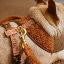 Frenchie - Frenchie Duo Reversible Harness - Teddy Brown: XS