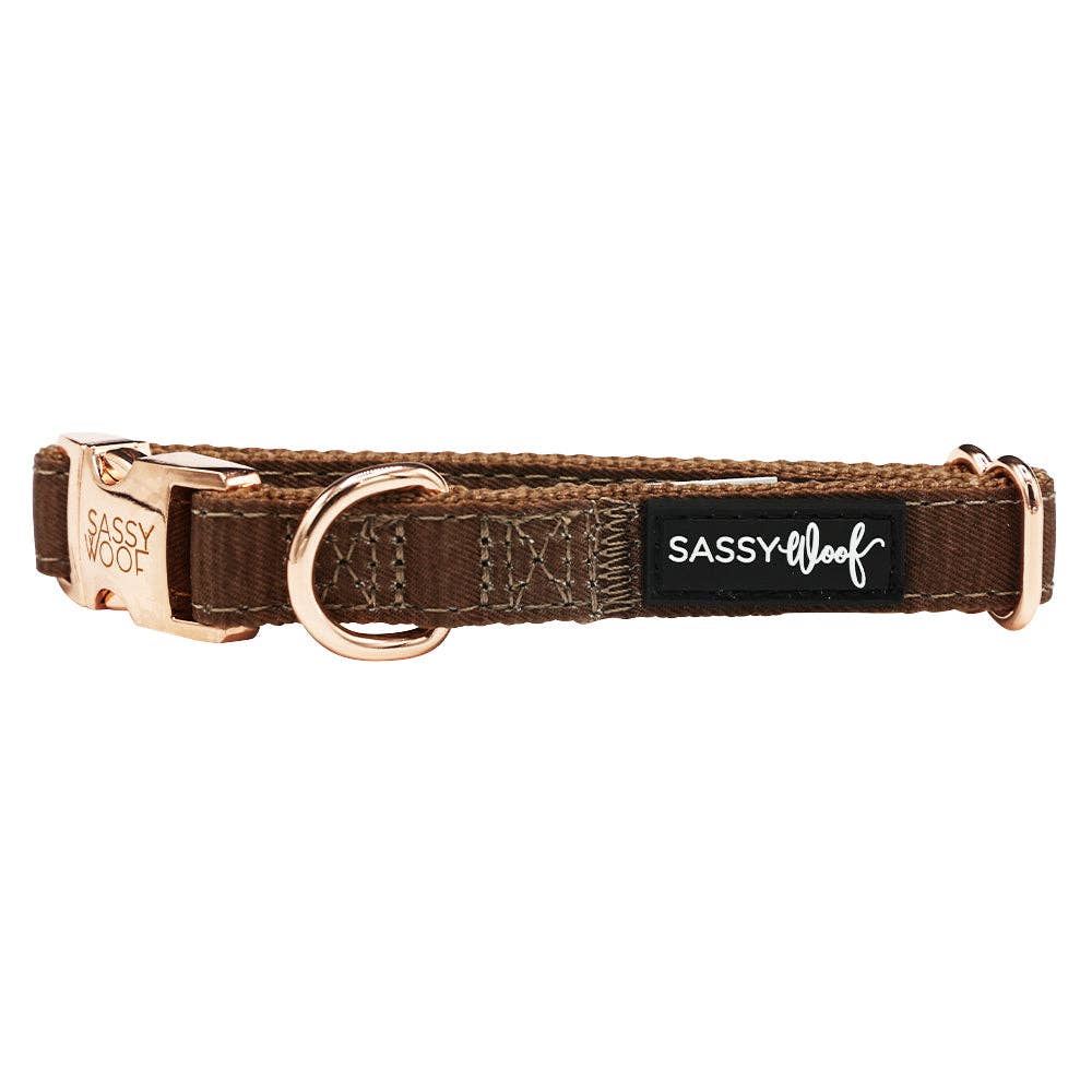 SASSY WOOF - Fall Dog Collar - Teddy: Medium